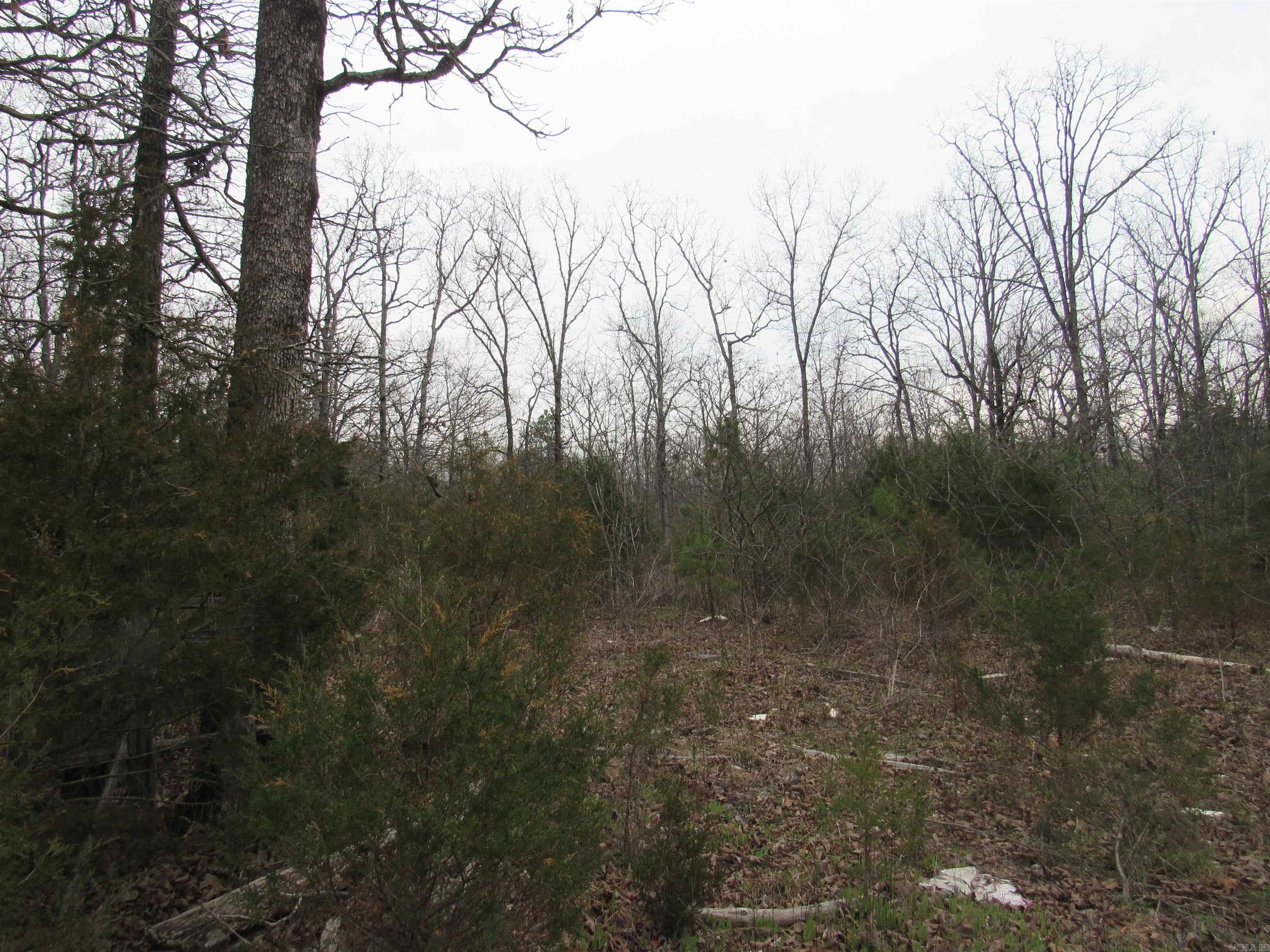 Metes & Bounds - Land