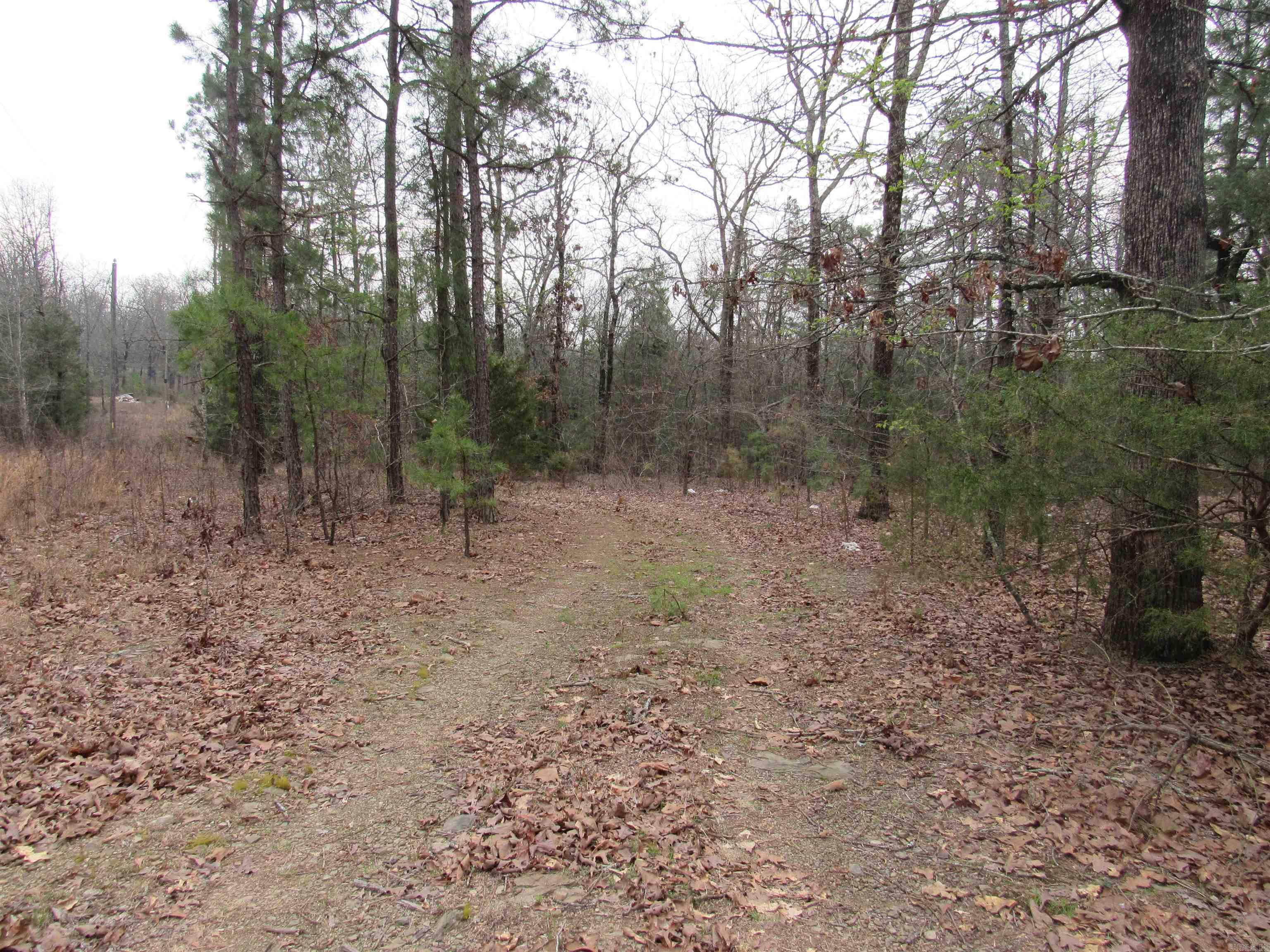 Metes & Bounds - Land