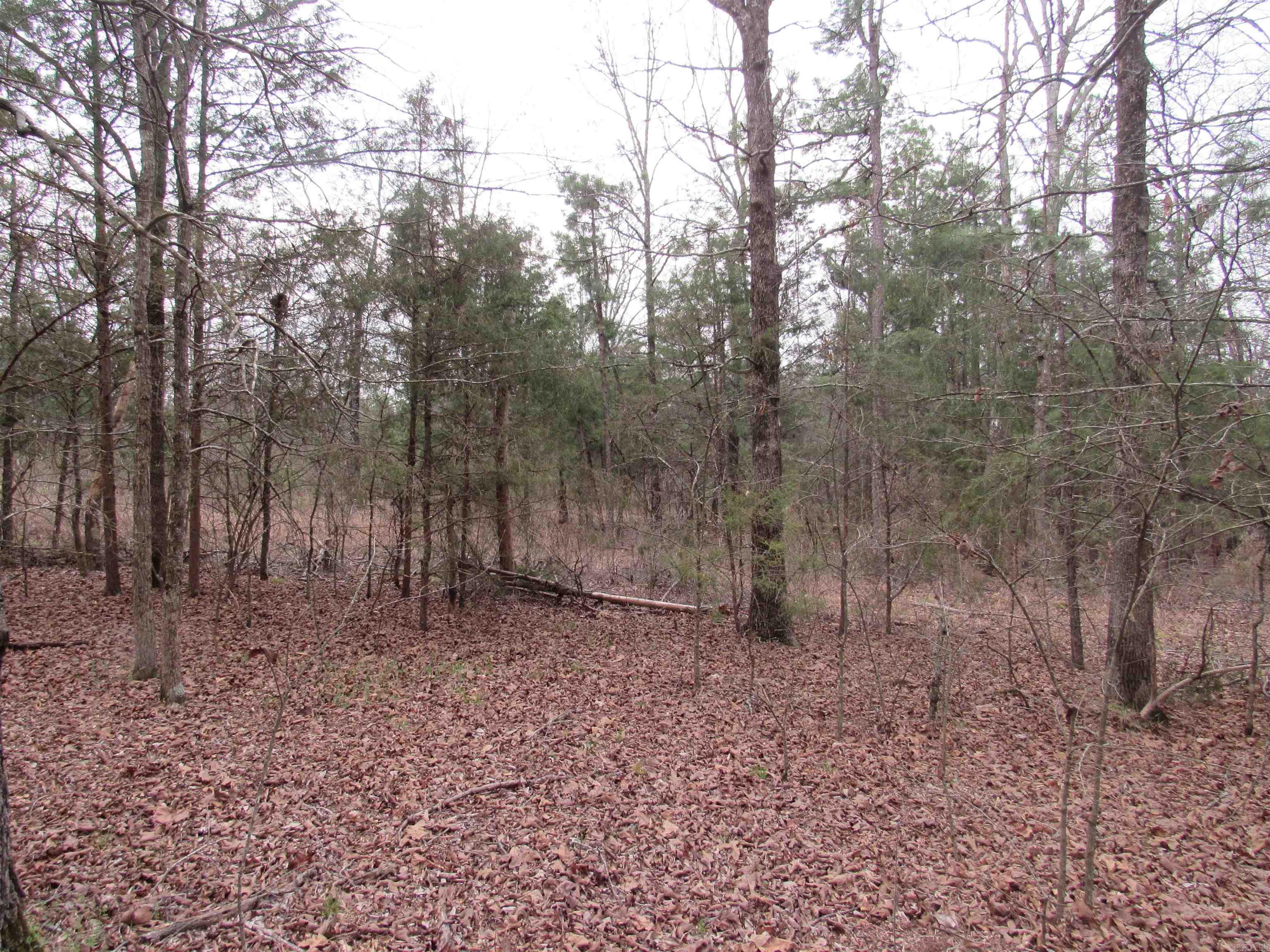 Metes & Bounds - Land