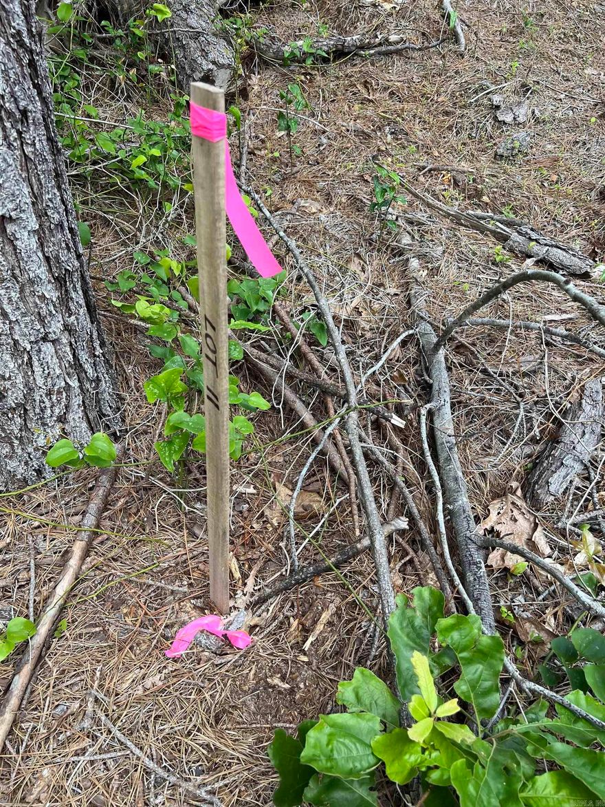 3.22 acres+/- LOOK! Mobile home friendly! You can build or put the new mobile home right on this property . Restriction will apply. Rural Water will be on the opposite side of the road.