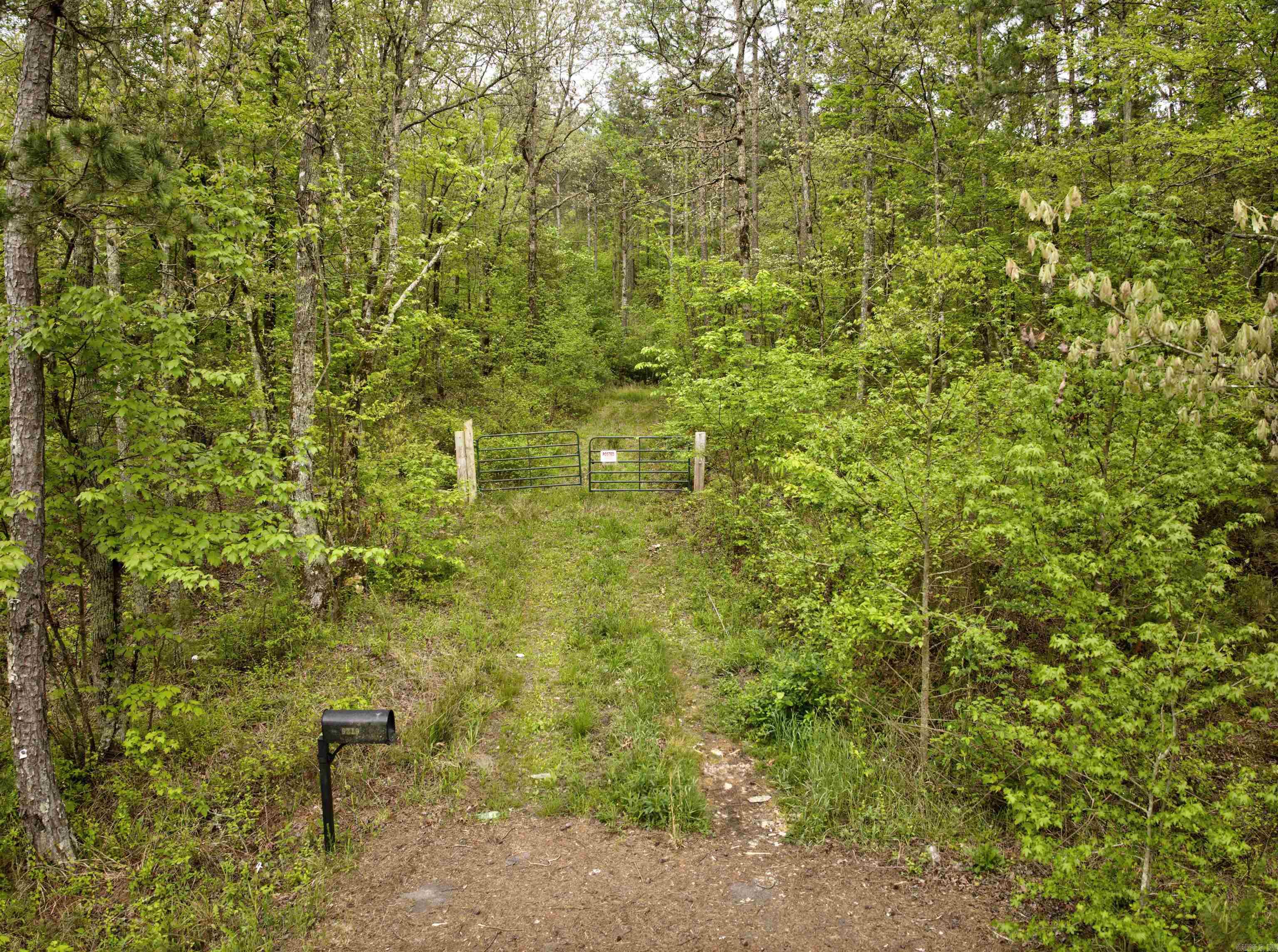 Lake Hamilton - Land