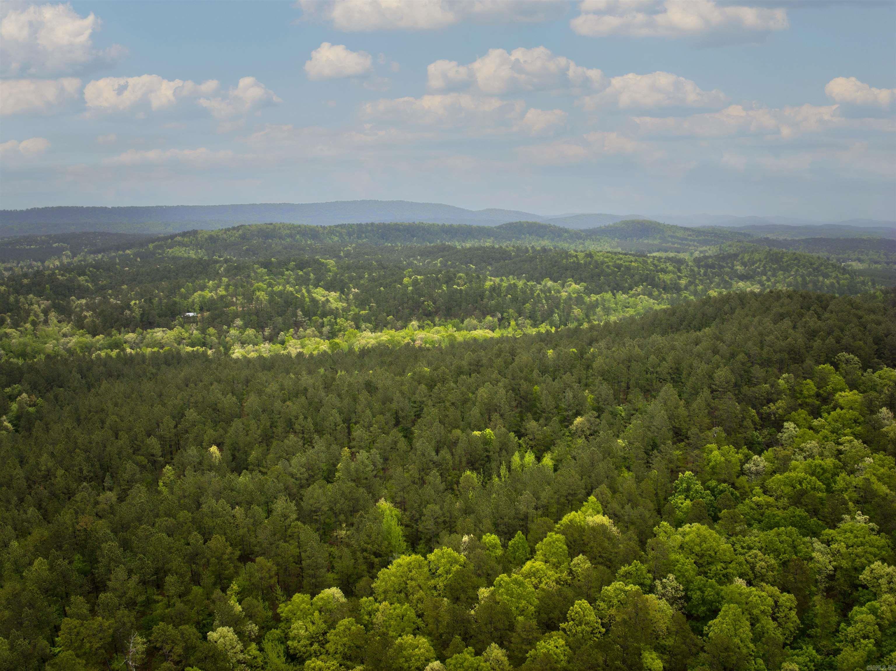Lake Hamilton - Land