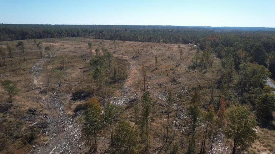 The Freedom Road North Tract is located in the western part of Lincoln County, Arkansas approximately 3 miles west of Star City and less than a mile from US HWY 530 on Freedom Road.  Access to the property is good from Freedom Road (County Road 10) along the west boundary.  This is a county-maintained road. Typical rural utilities (electrical & water) are available along the road.  This tract was recently cleared and ready for you! Whether you are looking for a place to build your dream home, convert the plantation to pasture and build a farm, keep as a timberland investment, or just looking for a place to hunt or just ‘get away’, check on the ‘Freedom Road North Tract’!  Contact the Neeley Team with United Country – Neeley Forestry Service, Inc.