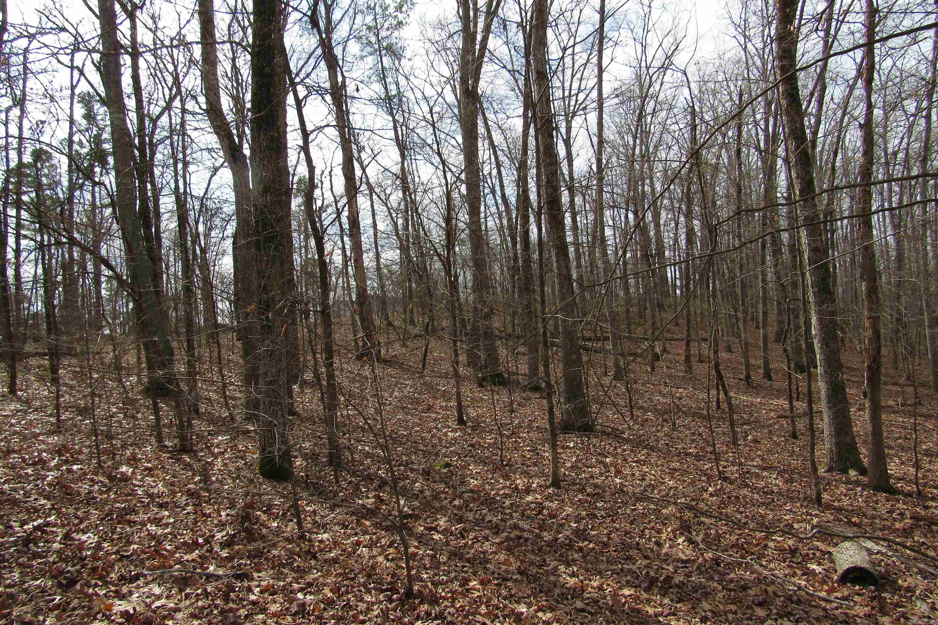 Diamondhead T - Land