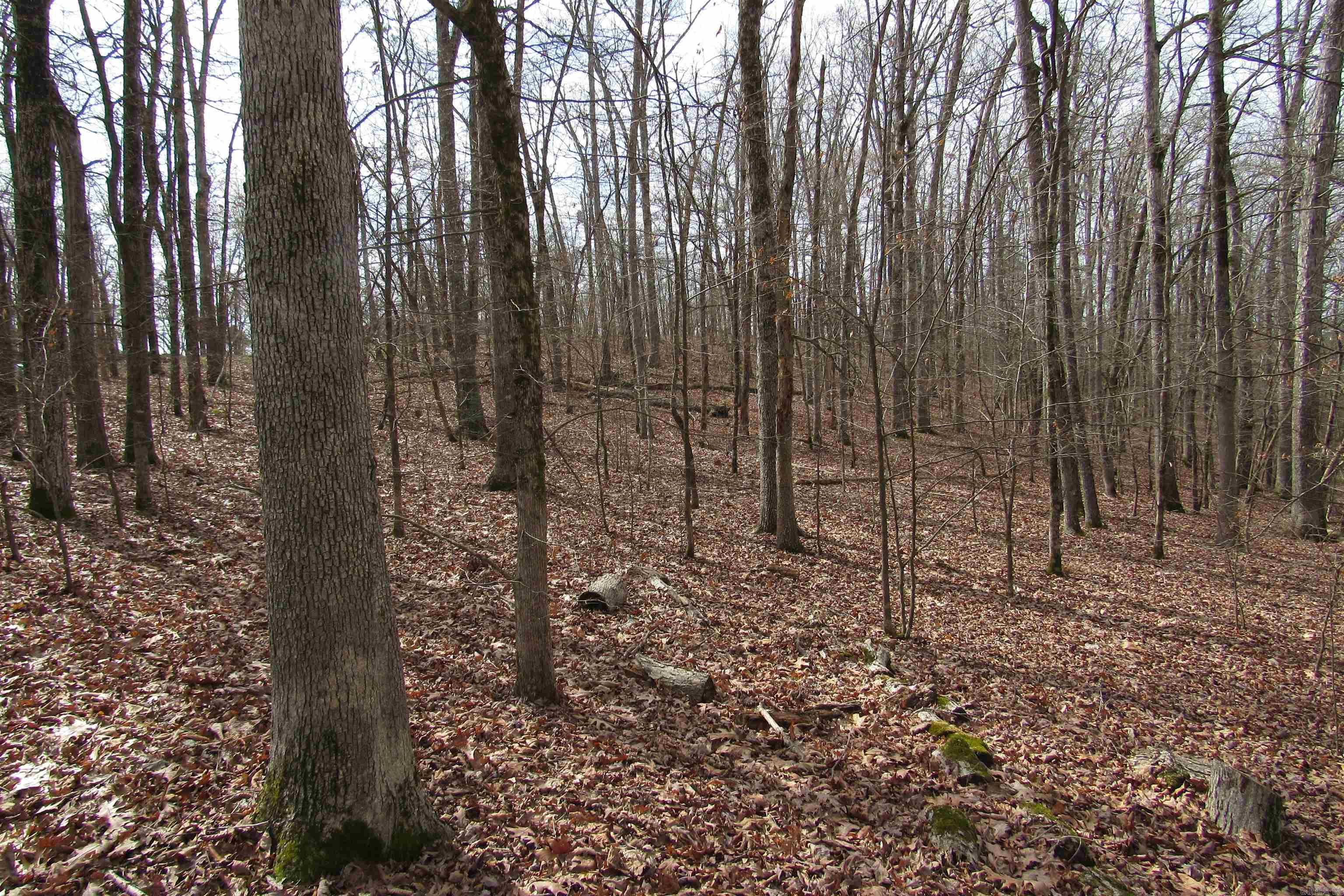 Diamondhead T - Land