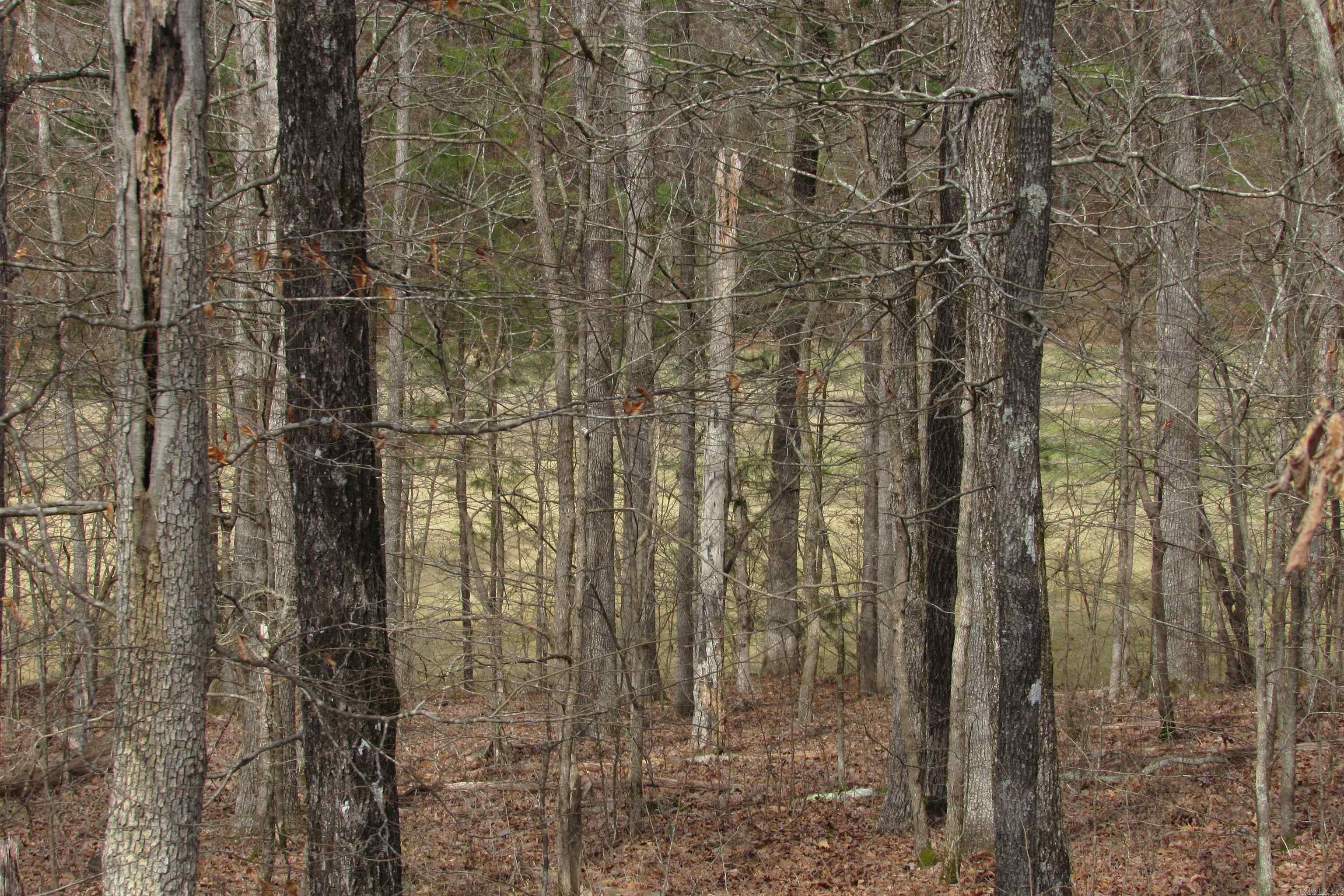 Diamondhead T - Land