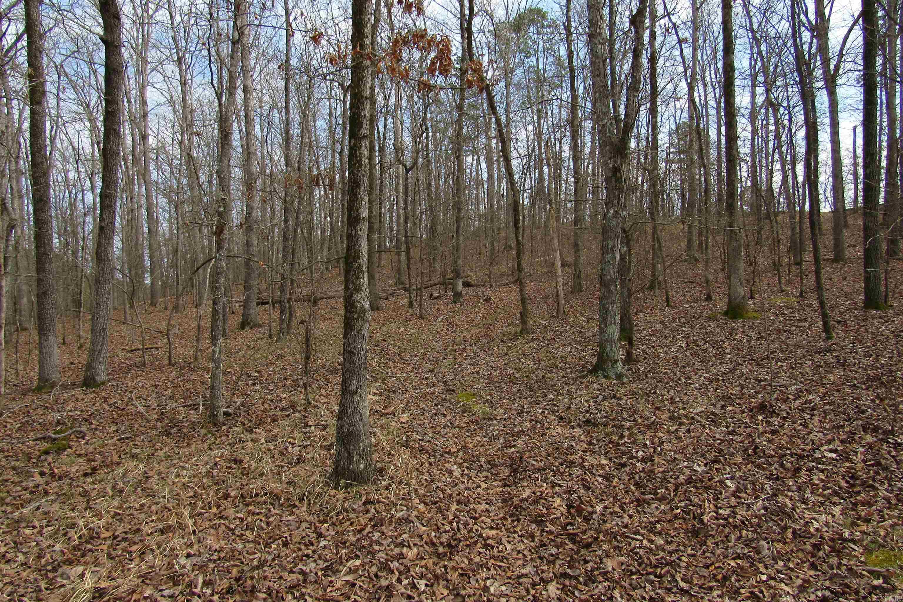 Diamondhead T - Land