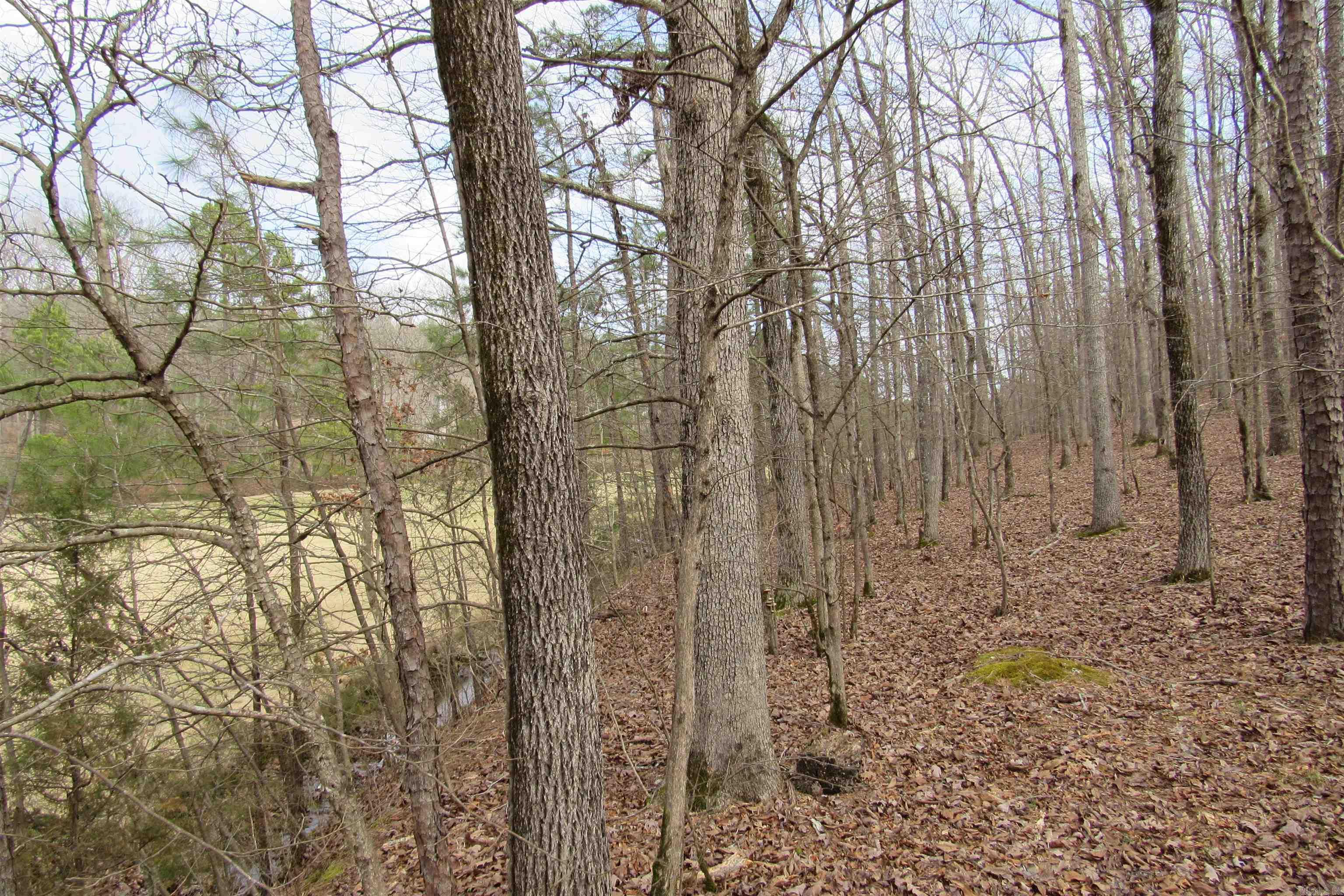 Diamondhead T - Land