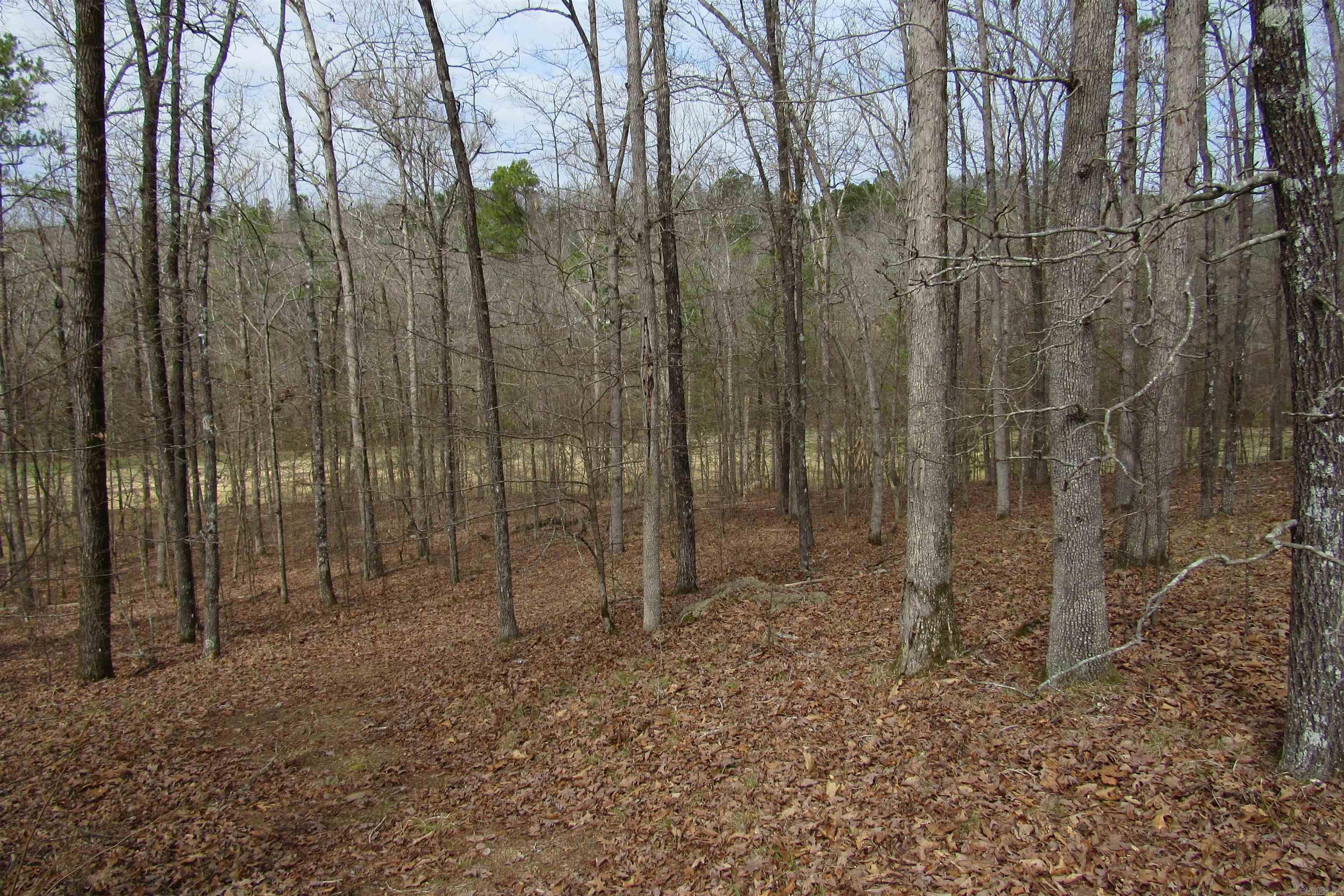 Diamondhead T - Land