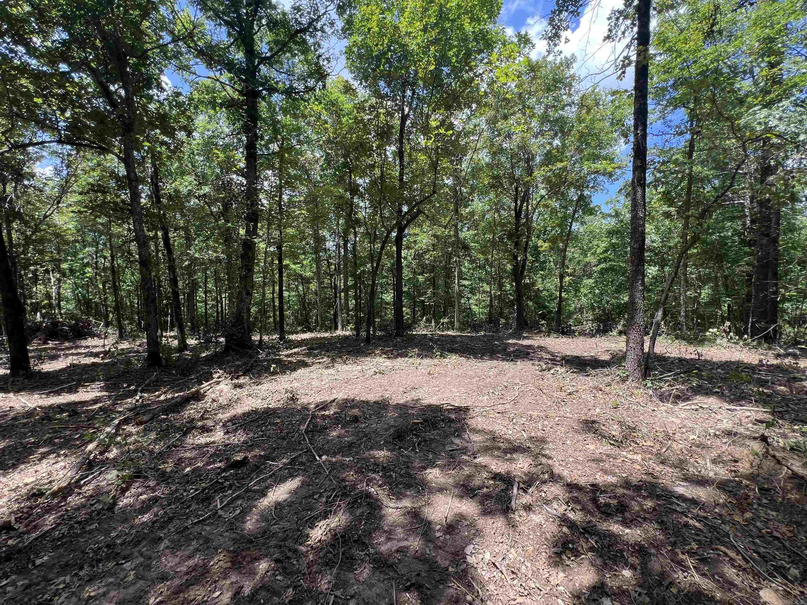 29.54 Acres of Recreational Timberland | Searcy County, AR Located near the quiet Oxley community, this 29.54-acre tract offers an excellent opportunity for those seeking a secluded hunting retreat or an off-grid homestead. Surrounded by timber and teeming with wildlife, the property lies approximately 3/4 mile off the county roadāperfect for those looking to escape the hustle and bustle. Whether youāre after privacy, recreation, or a place to build your off-grid dream, this peaceful piece of the Ozarks could be just what youāre looking for! There is adjoining 41.64 Acre tract that could be purchased also if you are wanting more. Seller will provide a road and utilities easement to buyer at closing.
