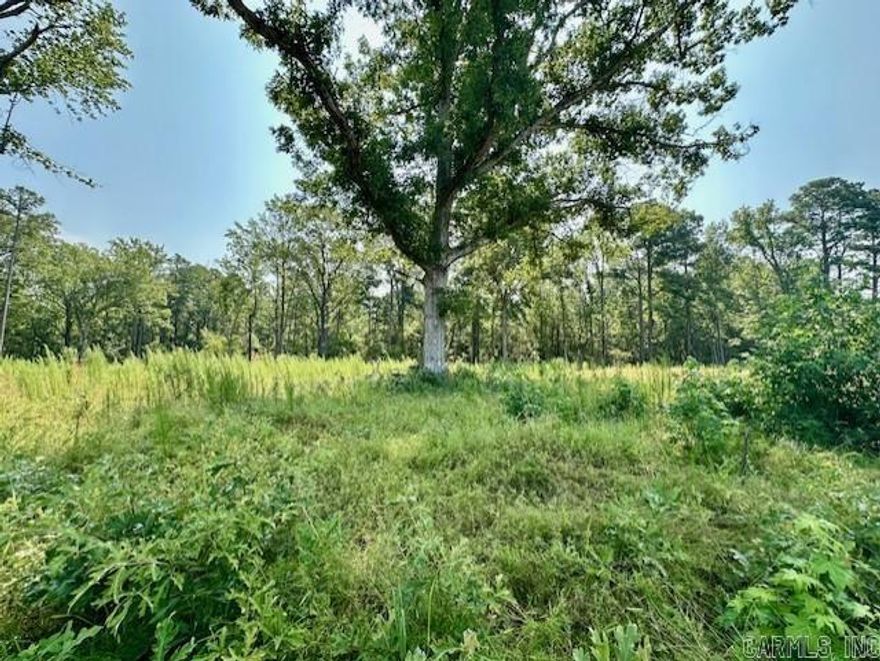 Come see this beautiful, wooded property! Being outside zoning restrictions, this property would be great for your next home or business!  Tract B is 3.19 acres. Option to purchase Tracts A & C as well if interested. Tract A: MLS #24023551 Tract C: MLS #24023557