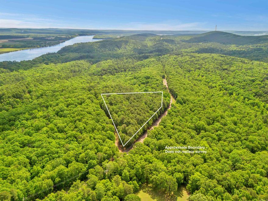 Wooded, rural land. Well will need to be drilled here for water. Septic will be required. First Electric is the area electricity provider. Connect2First provides fiber internet. Close proximity to the Arkansas River!