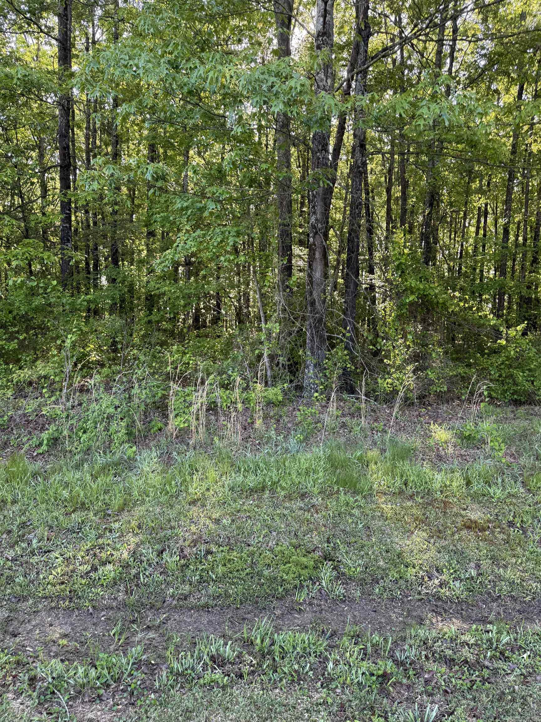 Chimney Rock Estates - Land