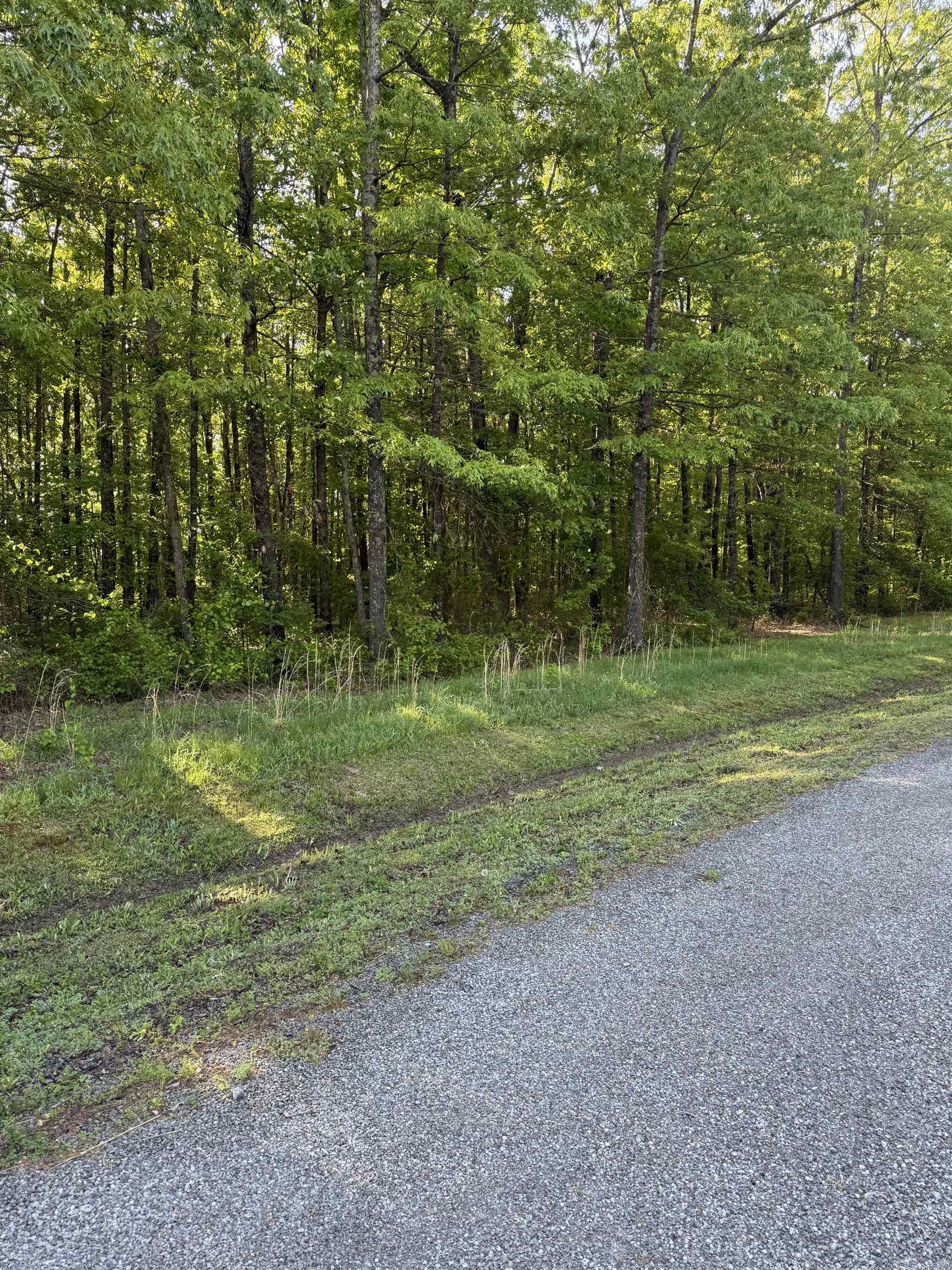 Chimney Rock Estates - Land