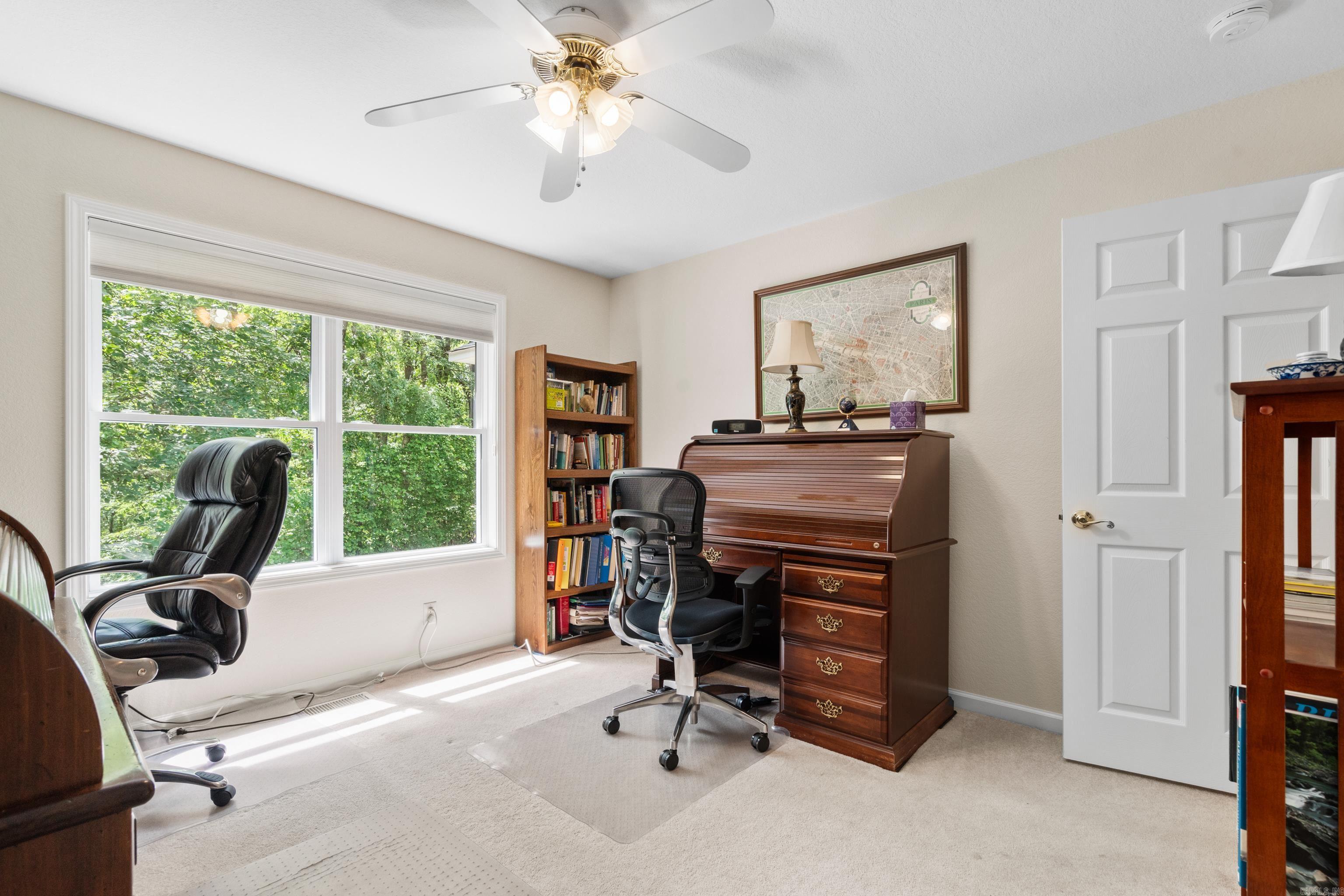 Magnifico - Residential