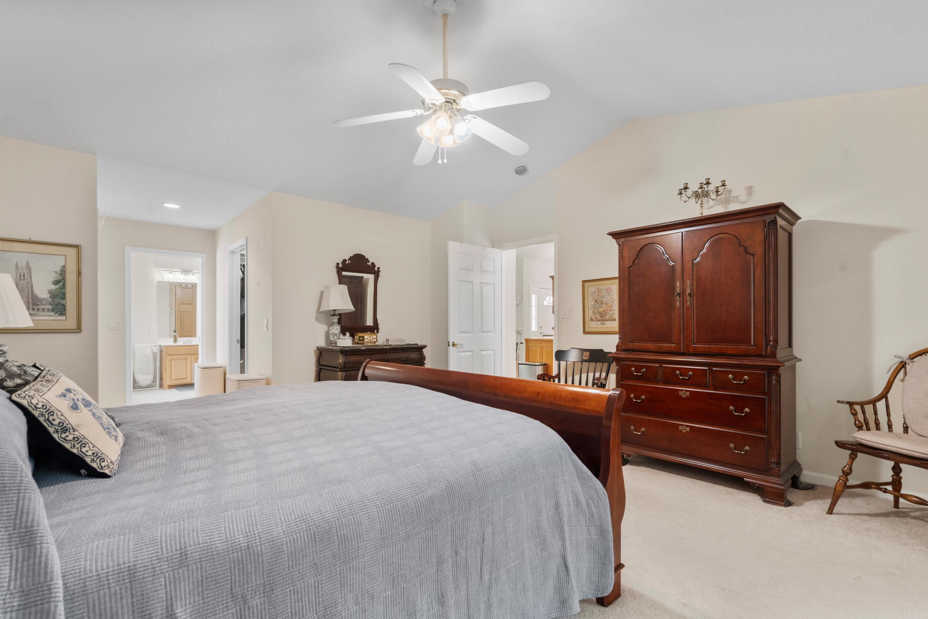 Magnifico - Residential