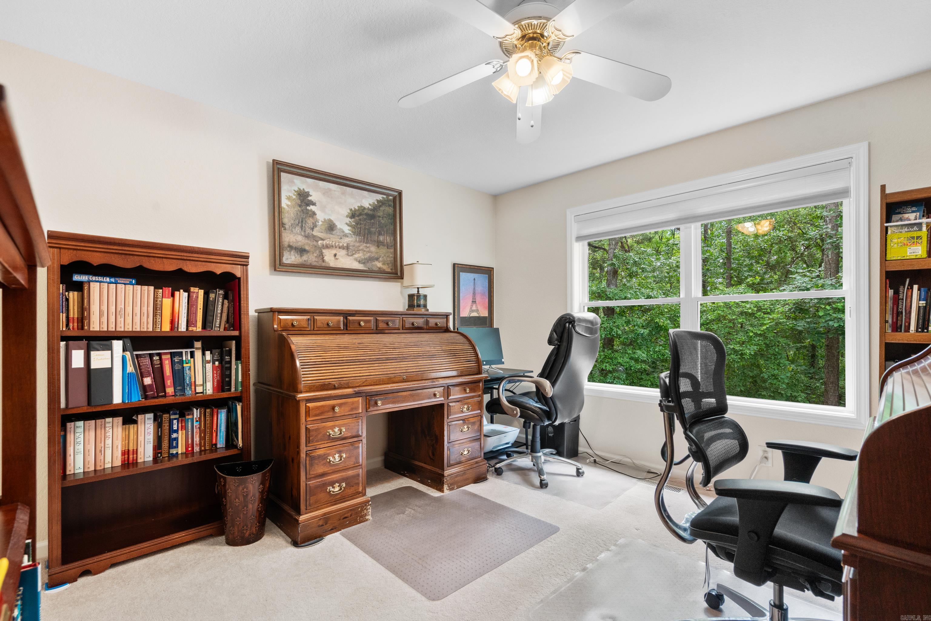 Magnifico - Residential