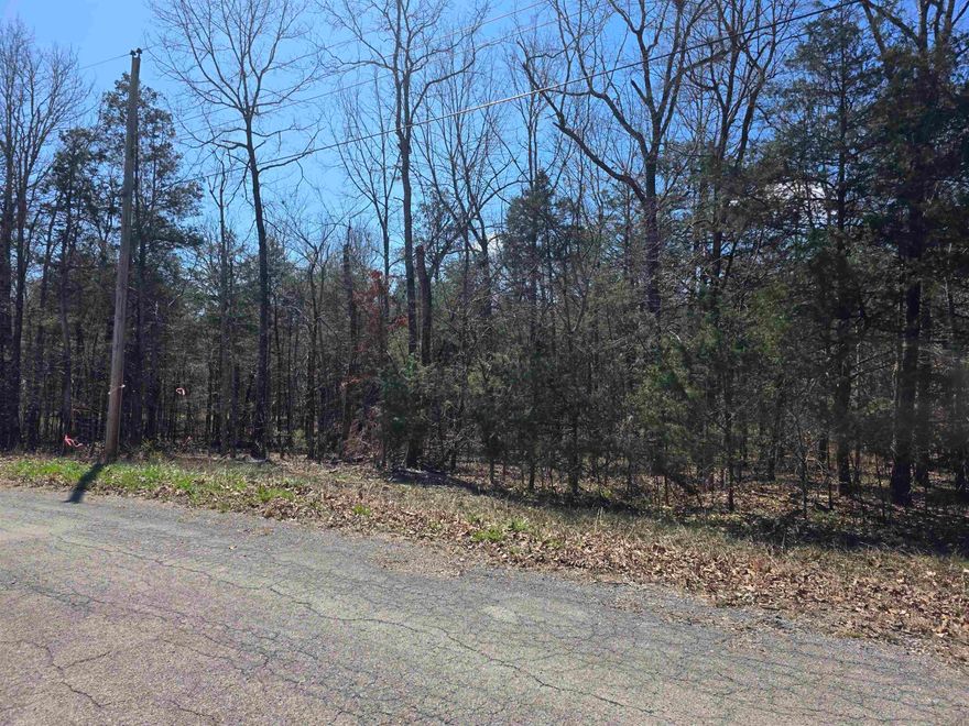 Come see this wonderful wooded lot. You will find it somewhat secluded in the woods on the Northside of the Village. With only a few neighbors in the area. Come pick your building site for your weekend get away cabin, vacation home or your forever home. Ownership of this lot gives you access to all the Cherokee Village aminities, such at the 7 Lakes for fishing, boating and 2 are big enough for skiing, Two 18-Hole golf courses to work on your game, The Thunderbird Center, swimming pool and mini golf. And dont forget that the beautiful Southfork river runs right through Cherokee Village before merging into the Spring River. So you can take a lazy float down the river. This lot can be purchased as part of a 4-Lot package deal with all 4 lots being side by side. that way you will have a neighbor build right next to you.