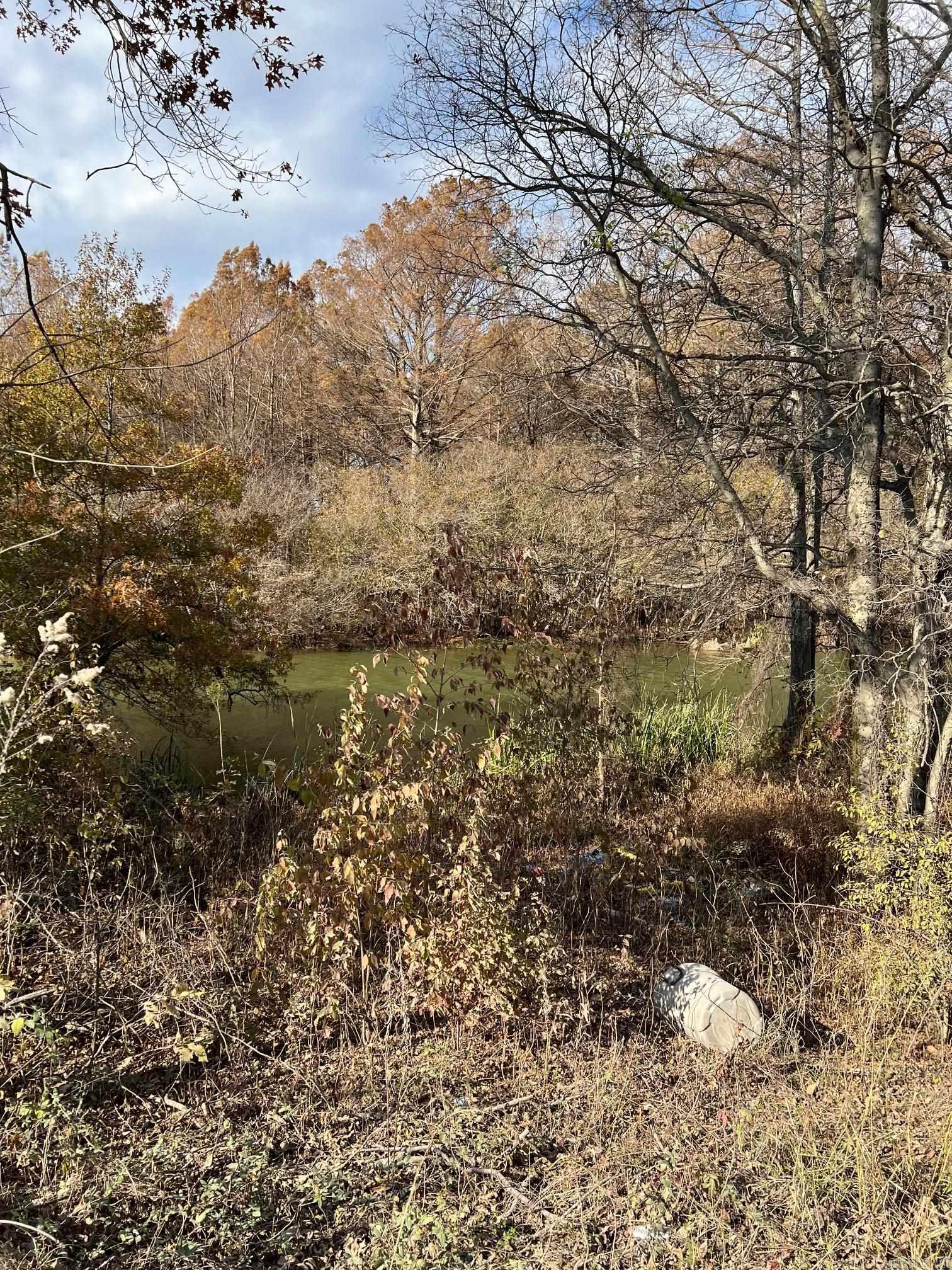 Duck Club Potential. Surrounded by water and public hunting
