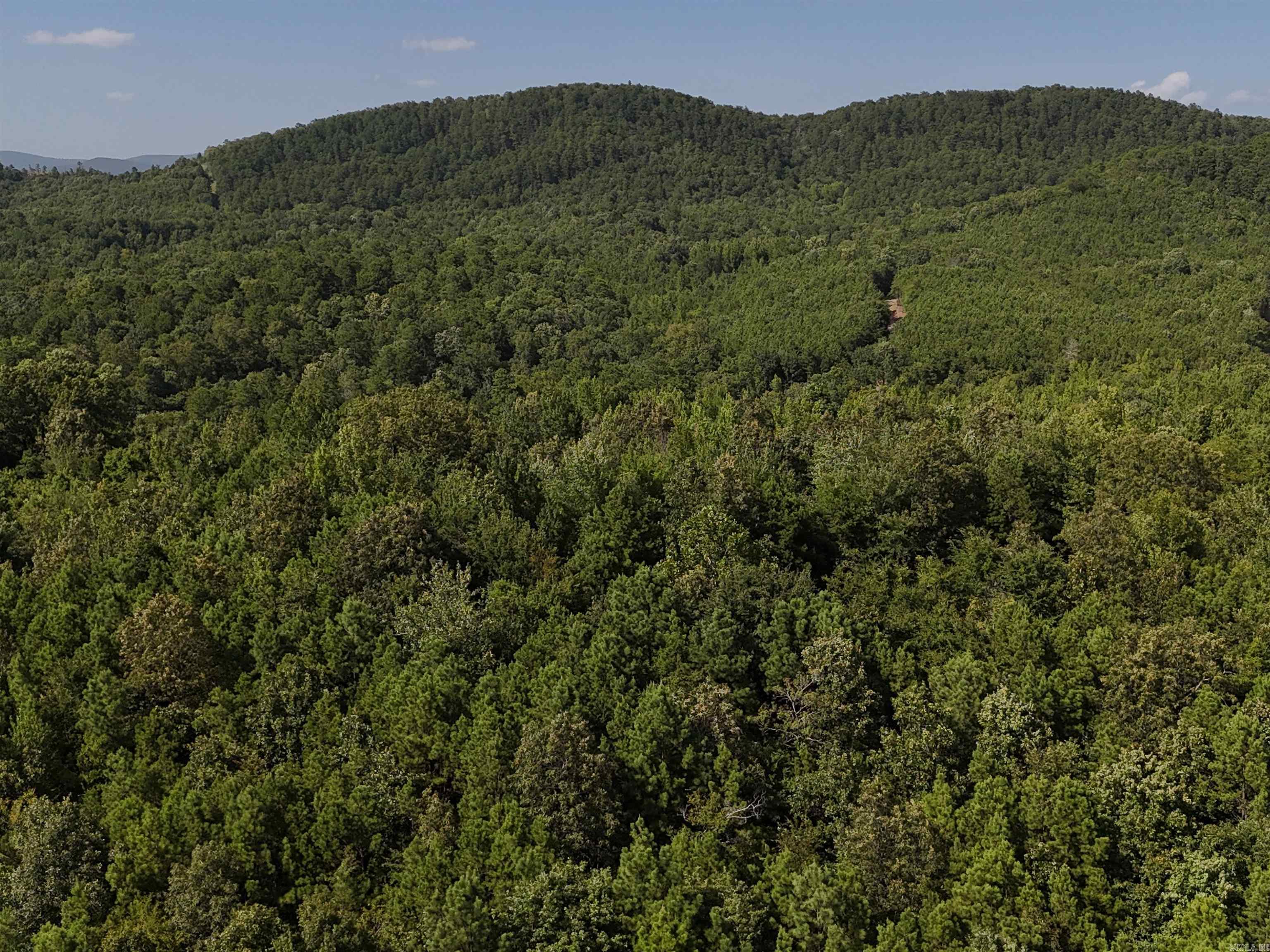 Build your dream home in this 3.175 acre tract in the beautiful Rustic Ridge Subdivision! Enjoy mountain views, peaceful surroundings, wildlife, and a great location just minutes to downtown Mena. Ride straight to the Wolf Pen Gap west trailhead which is just 12 miles away. Electric is available, and a survey is completed. This lot is a beautiful place to build, relax and explore - come take a look today!