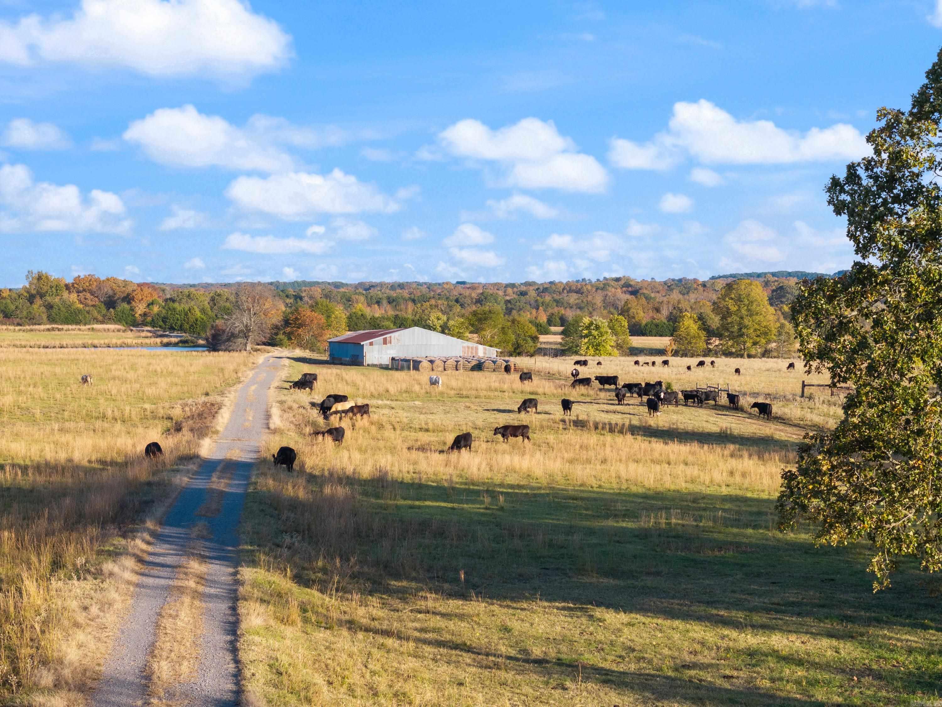 Metes & Bounds - Farm
