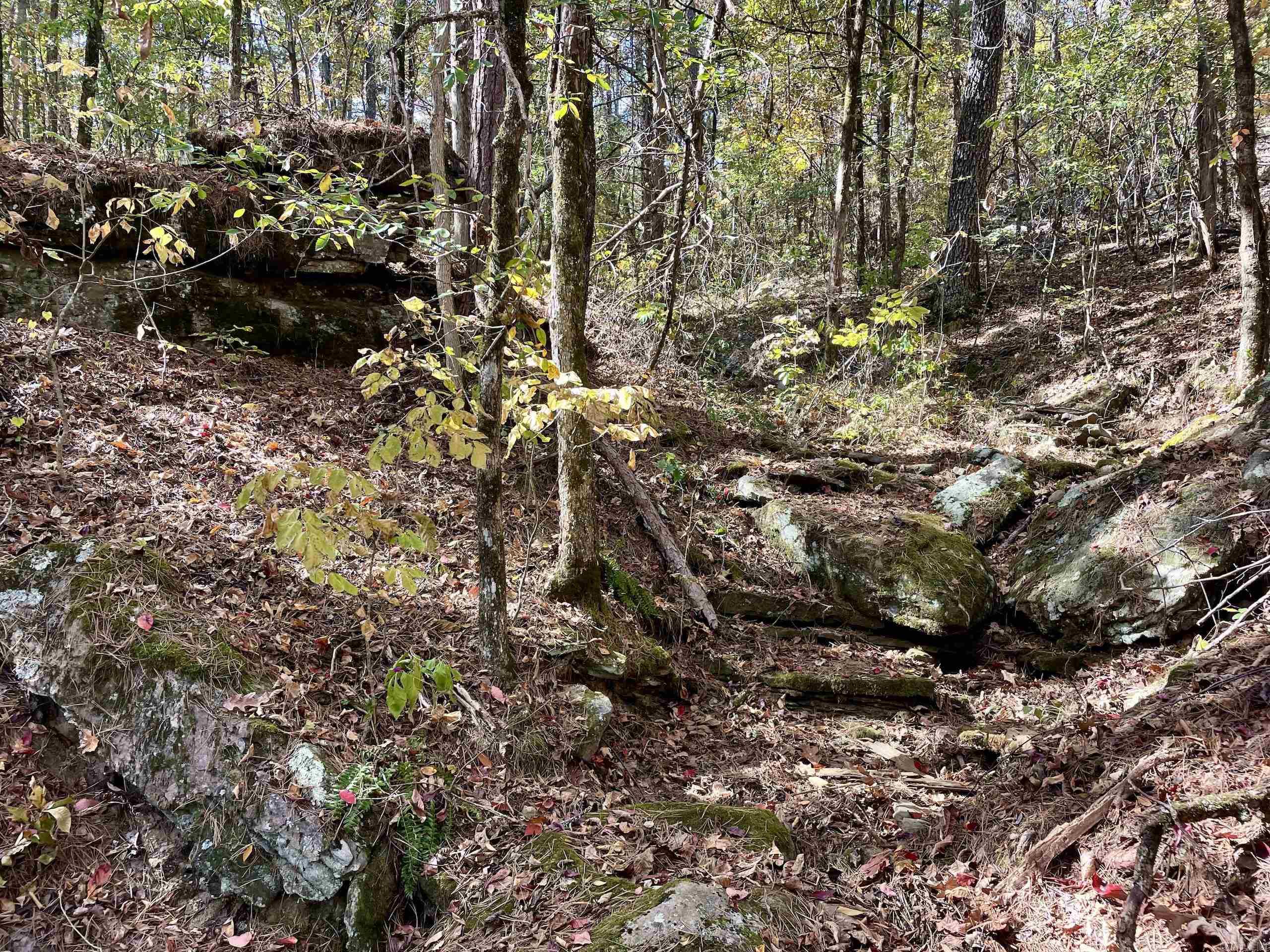 Not in Subdivision - Land