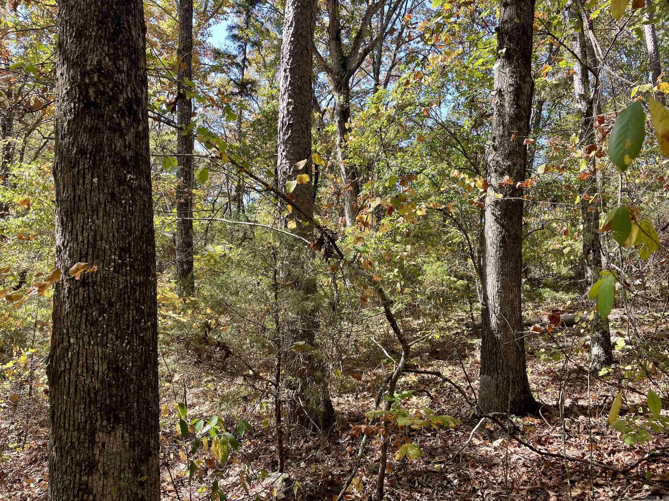 Not in Subdivision - Land