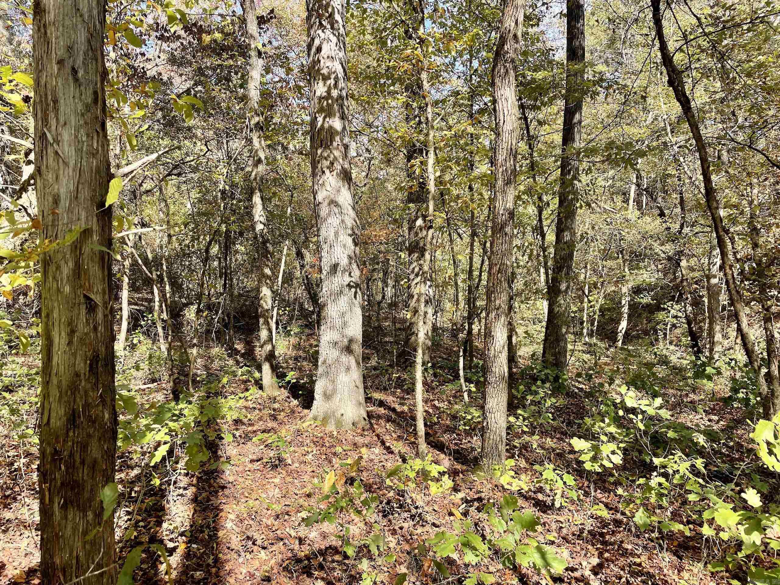 Not in Subdivision - Land