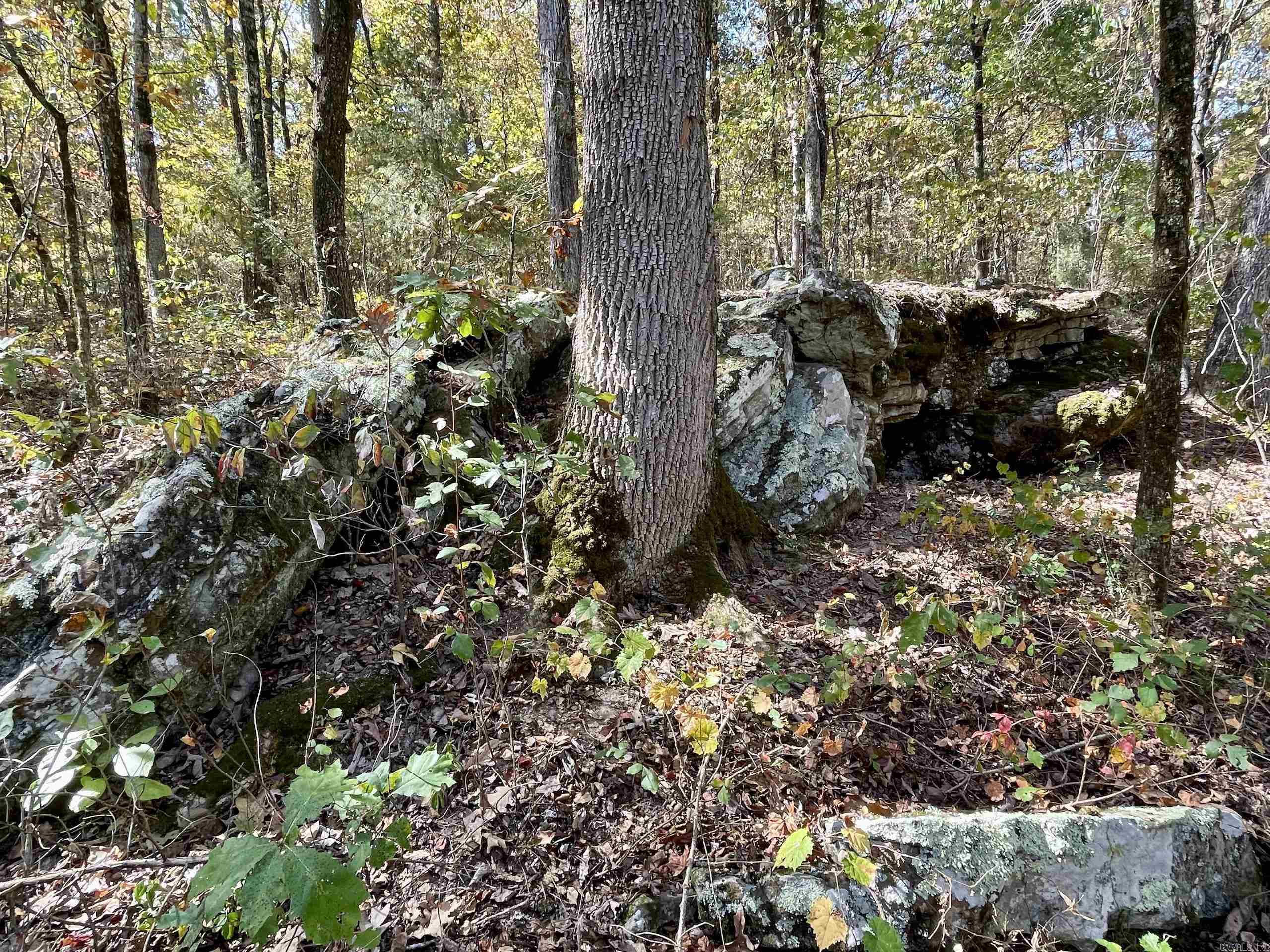 Not in Subdivision - Land