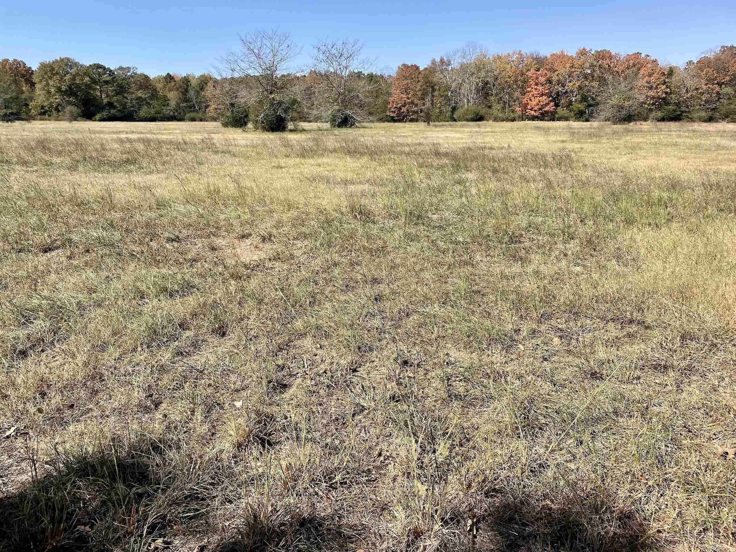 Not in Subdivision - Land