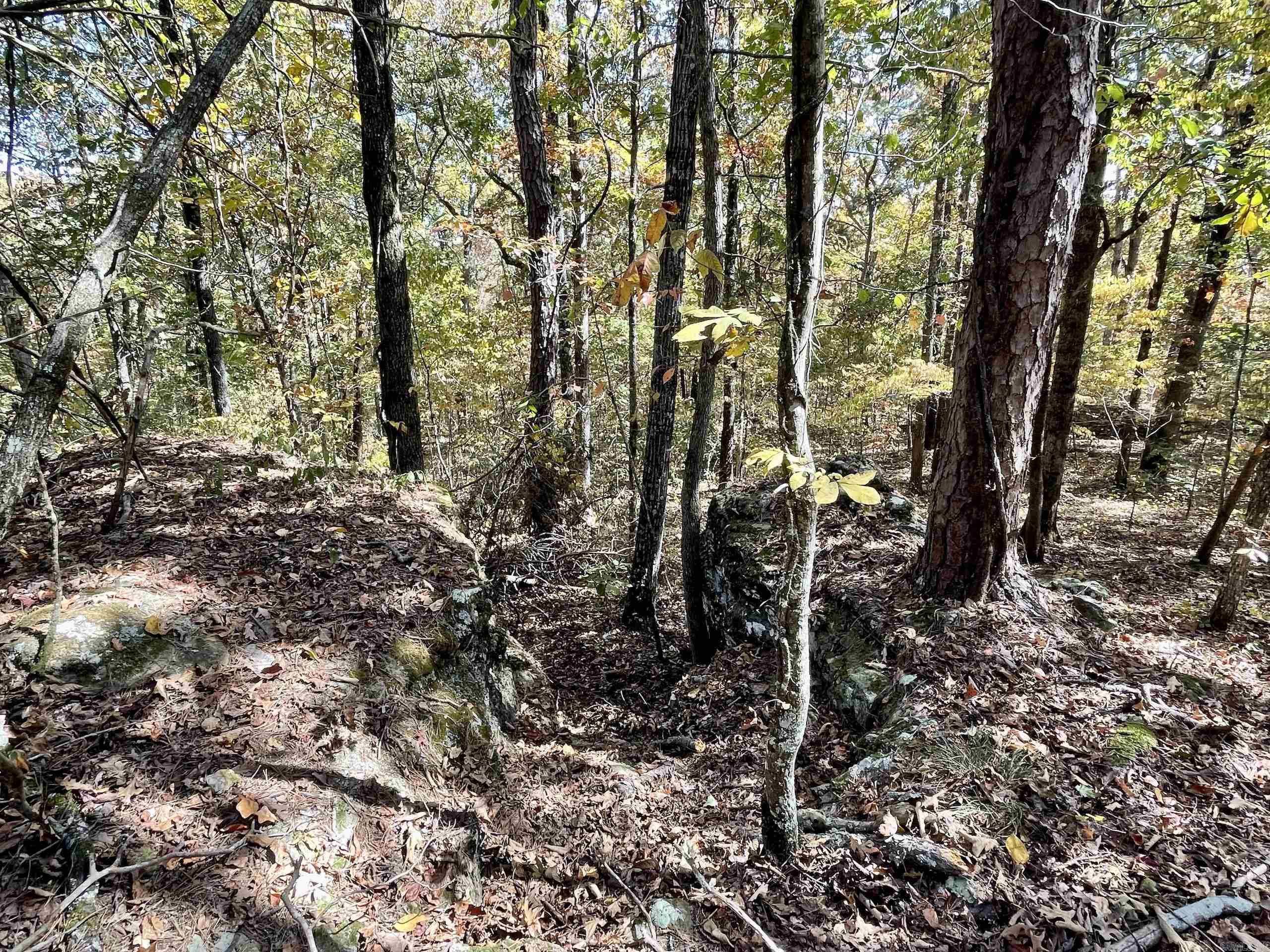 Not in Subdivision - Land