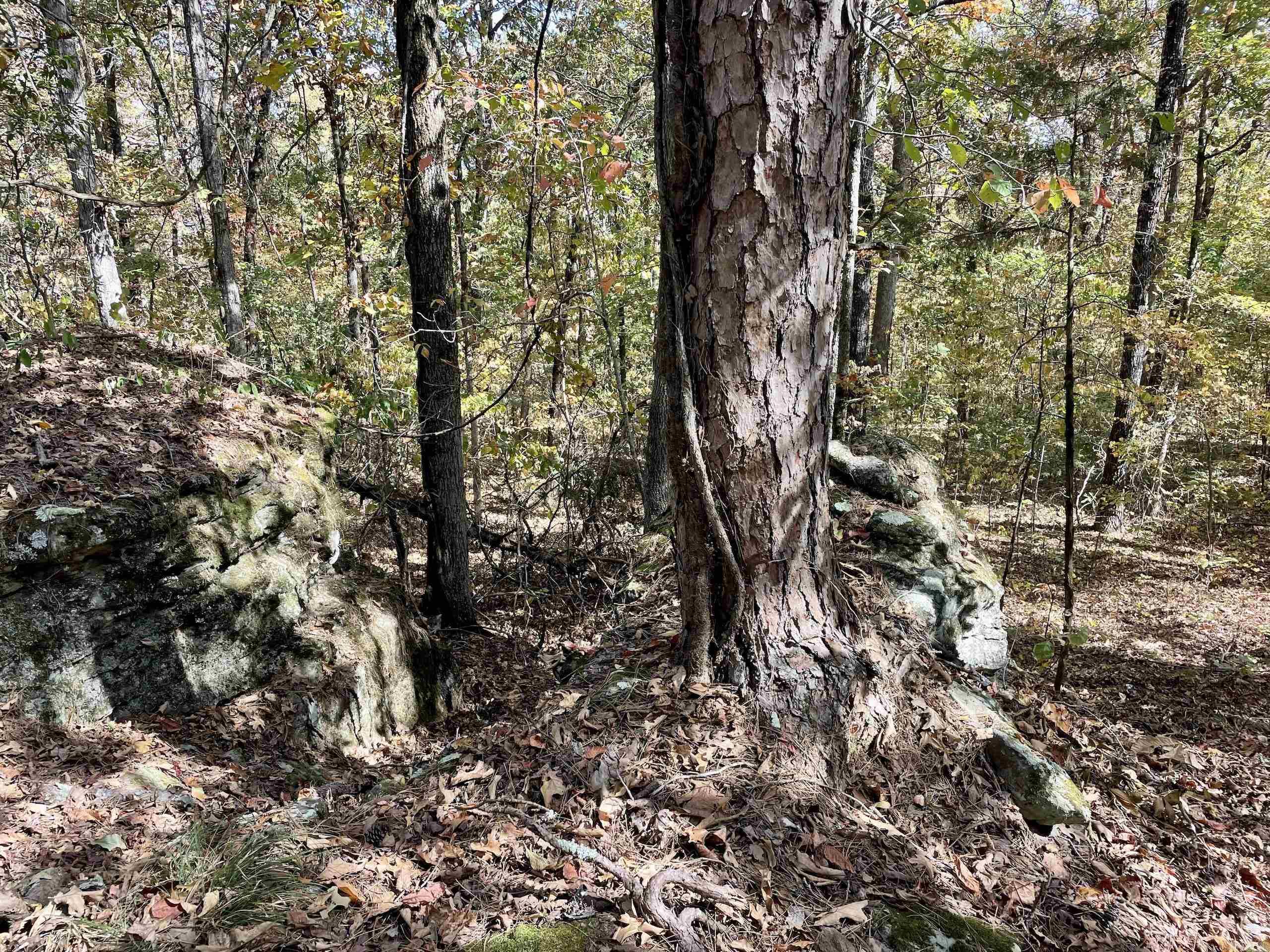 Not in Subdivision - Land