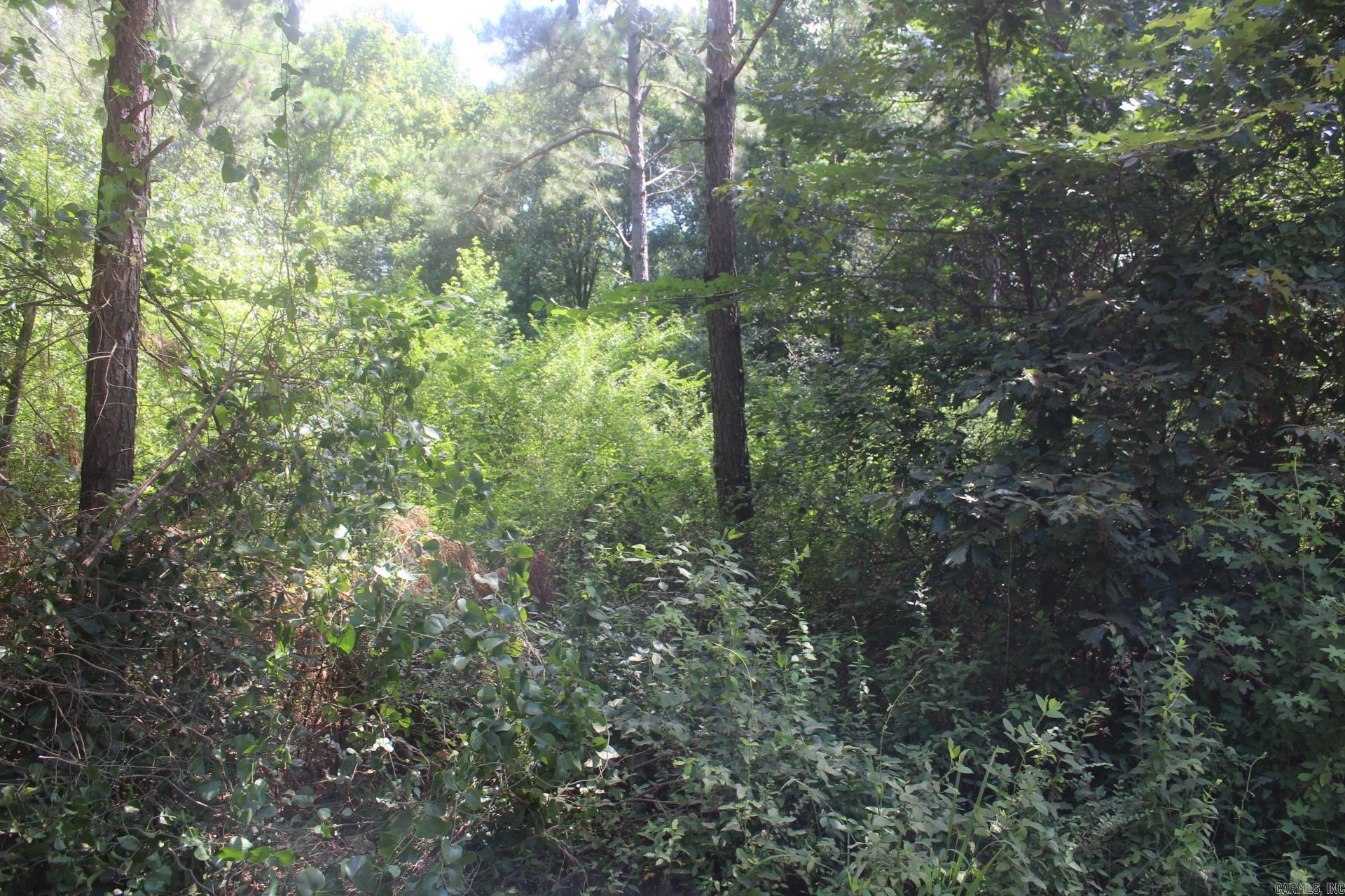 10 Wooded Acres Available on Edwards Road, Nashville, Ar. Utilites Available.