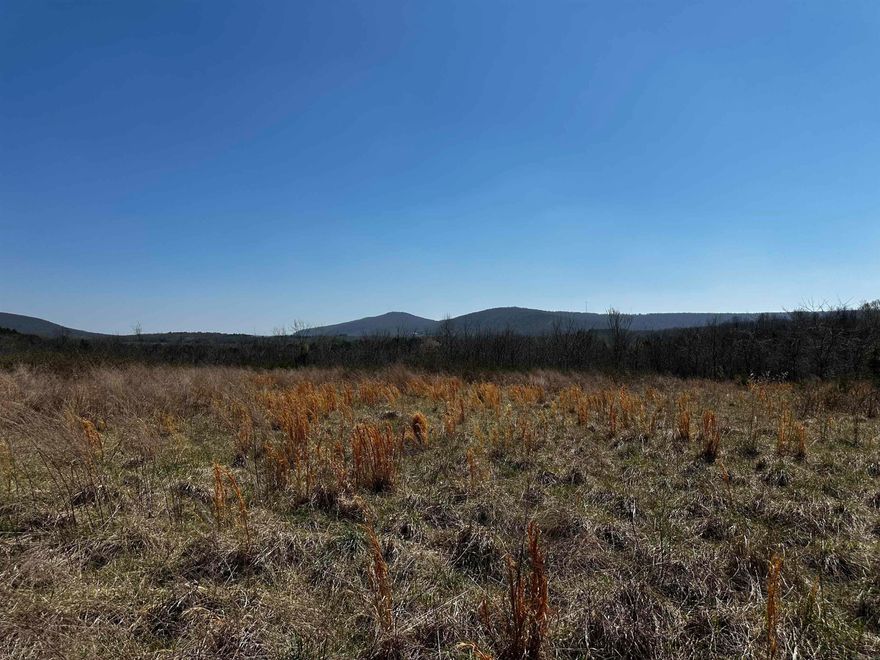 Looking for room to roam, hunt, or just get away from it all? This 73.96-acre unrestricted property offers the perfect mix of open ground and woods, giving you plenty of options whether you’re building, running livestock, or setting up a hunting retreat. With two pastures, an old barn full of character, a natural spring, and partial fencing already in place, it’s got a solid start for whatever vision you have in mind. Utilities are a big bonus with water and electric available on the property, making it easier to hit the ground running. The mix of timber and open space creates ideal wildlife habitat, making this a true hunter’s dream. Enjoy peace, quiet, and beautiful Ozark views with multiple potential build sites to choose from. You’ll also be just a short drive from the White River, Blanchard Springs Caverns, and the Ozark National Forest for some of the best fishing, hiking, and exploring in the state. If you’ve been waiting on a place like this, now’s your chance. Priced at $325,000
