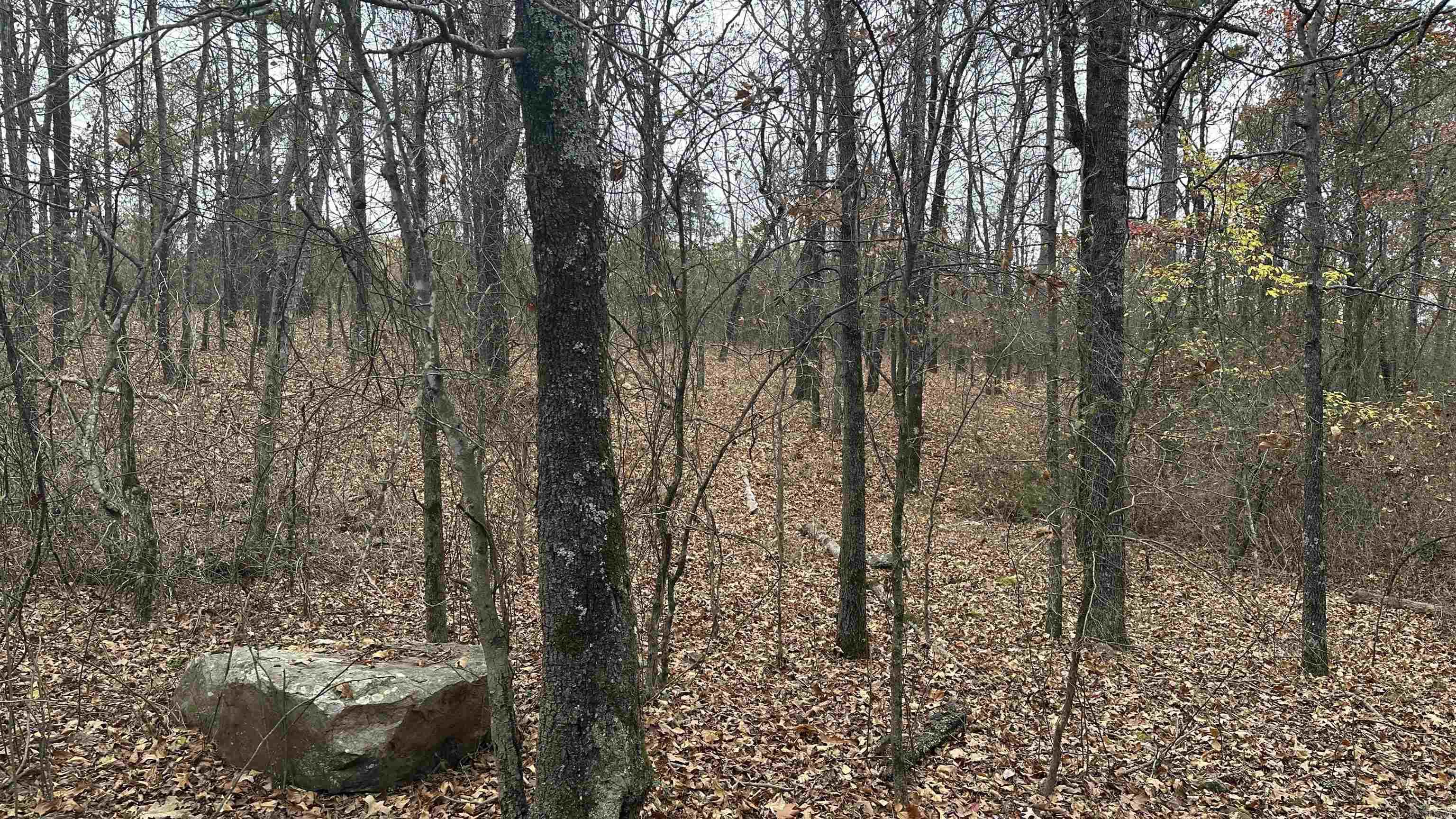 Metes & Bounds - Land