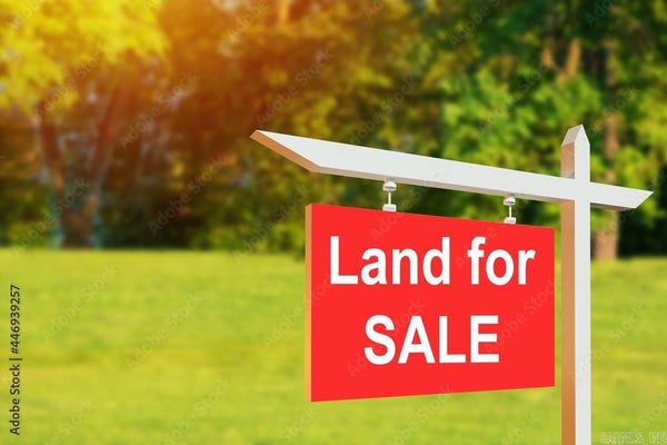 102 ELLIS DR, BROOKLAND, AR 72417 - Image 1db93f8efdb0263ad5ceadfbdbd133c9/4143305014