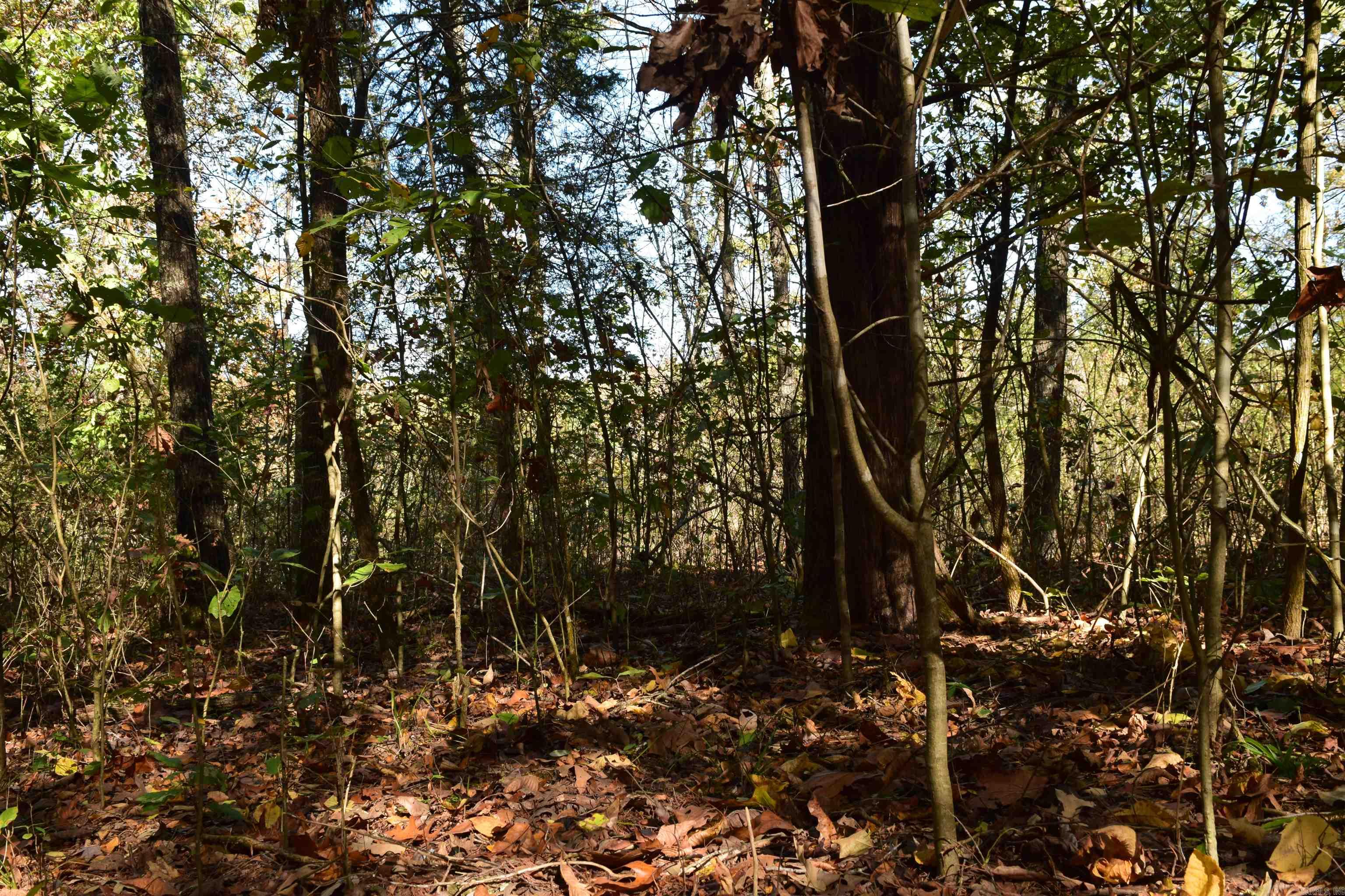 Not in Subdivision - Land