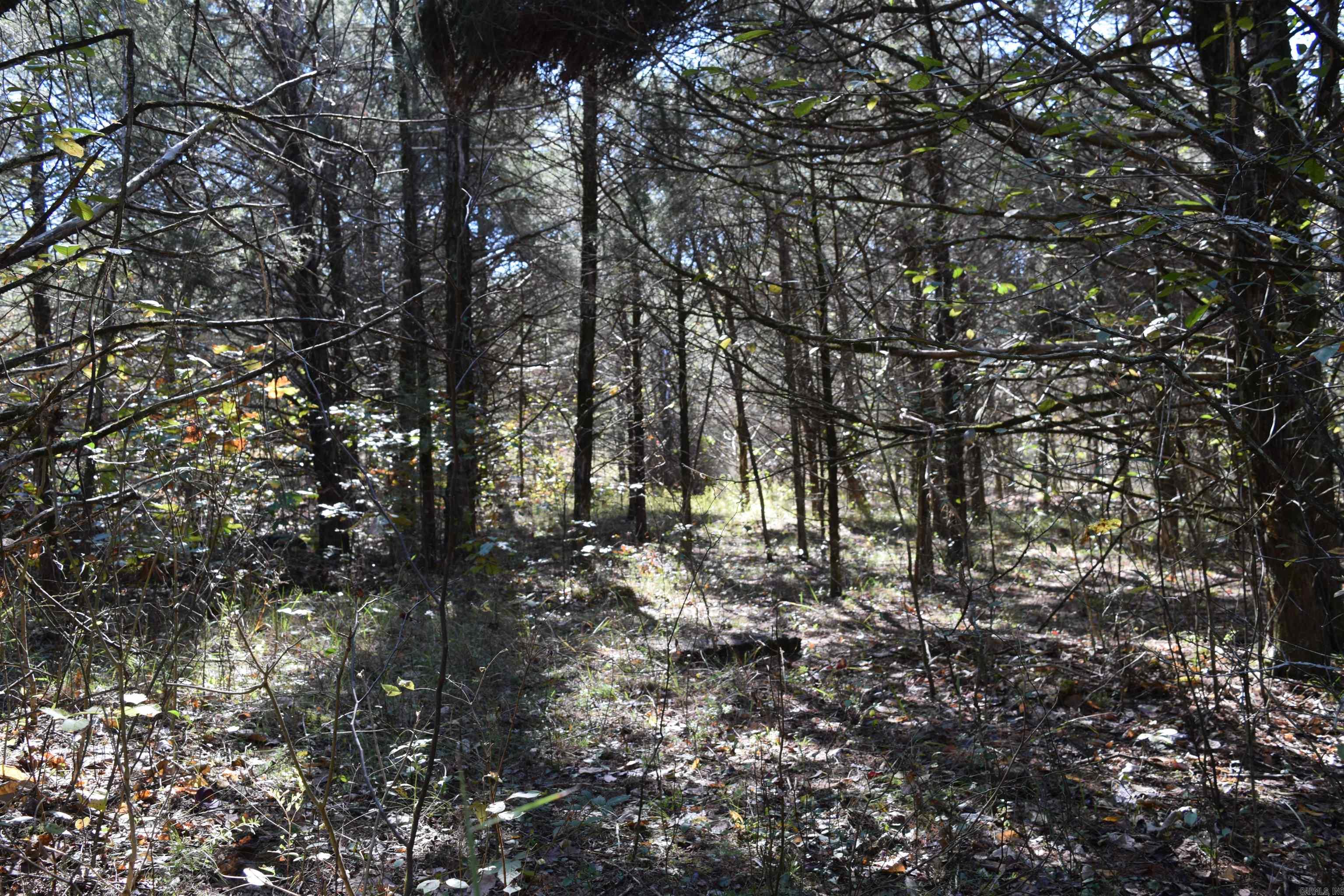 Not in Subdivision - Land