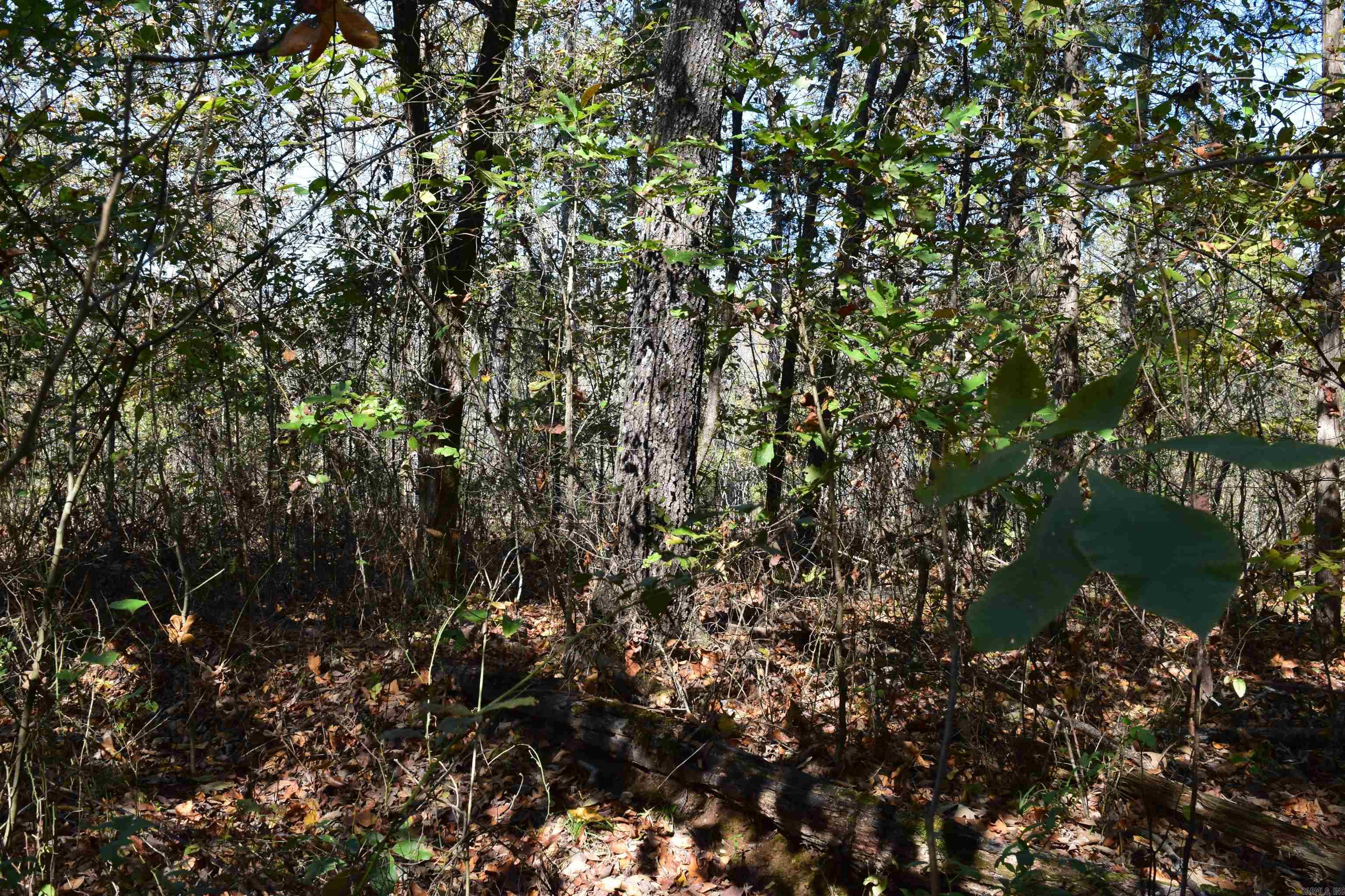 Not in Subdivision - Land