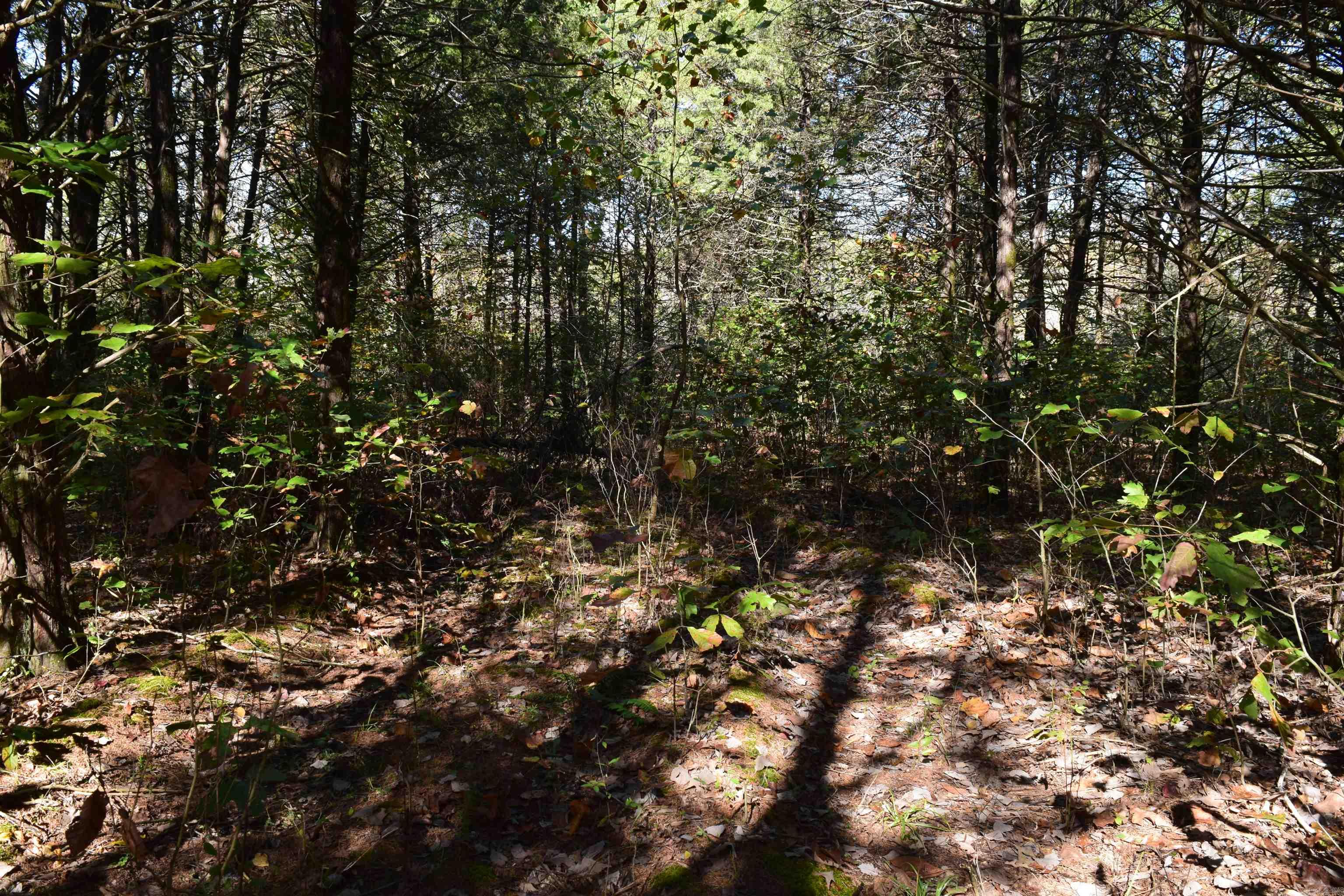 Not in Subdivision - Land