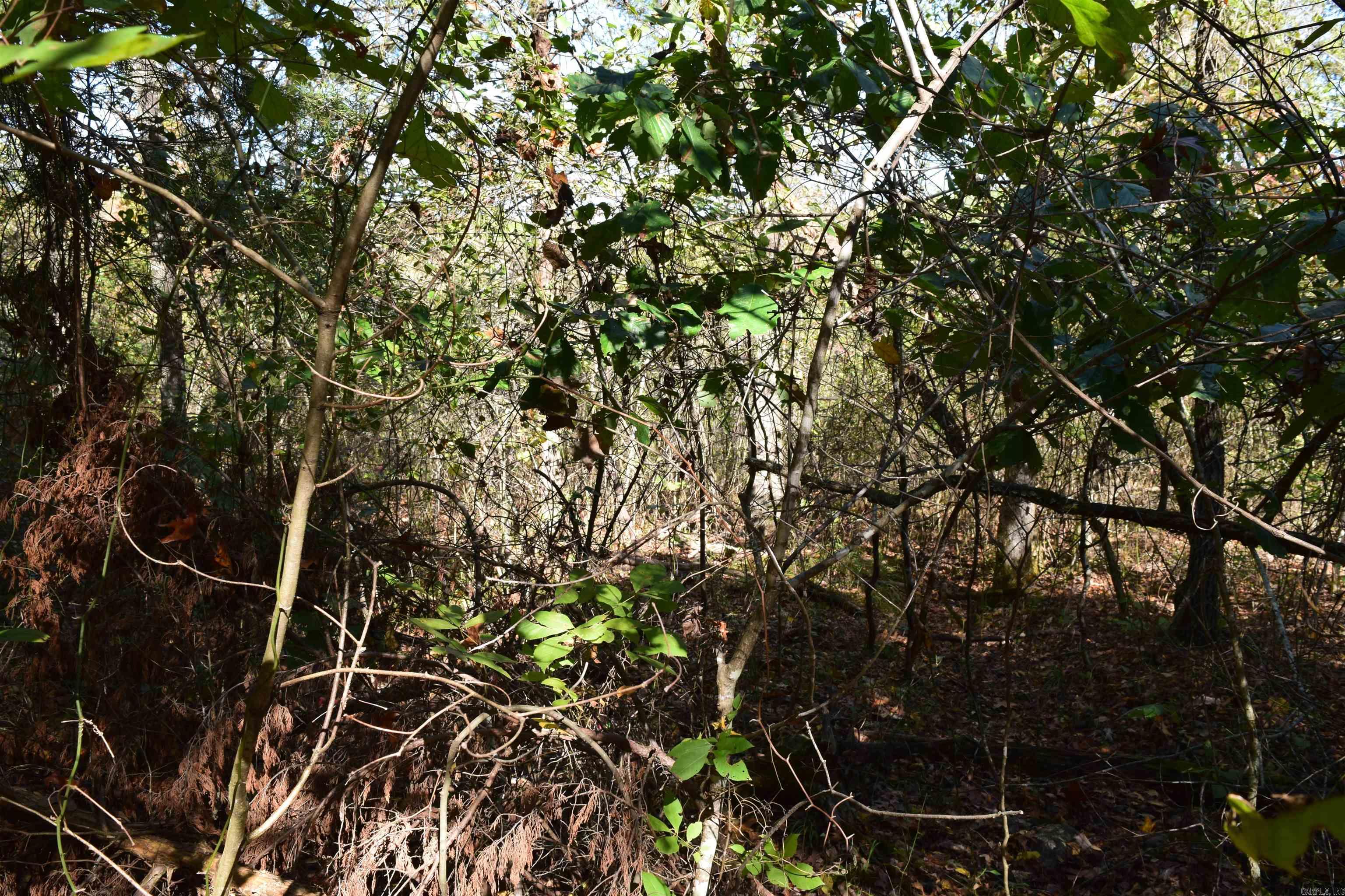 Not in Subdivision - Land