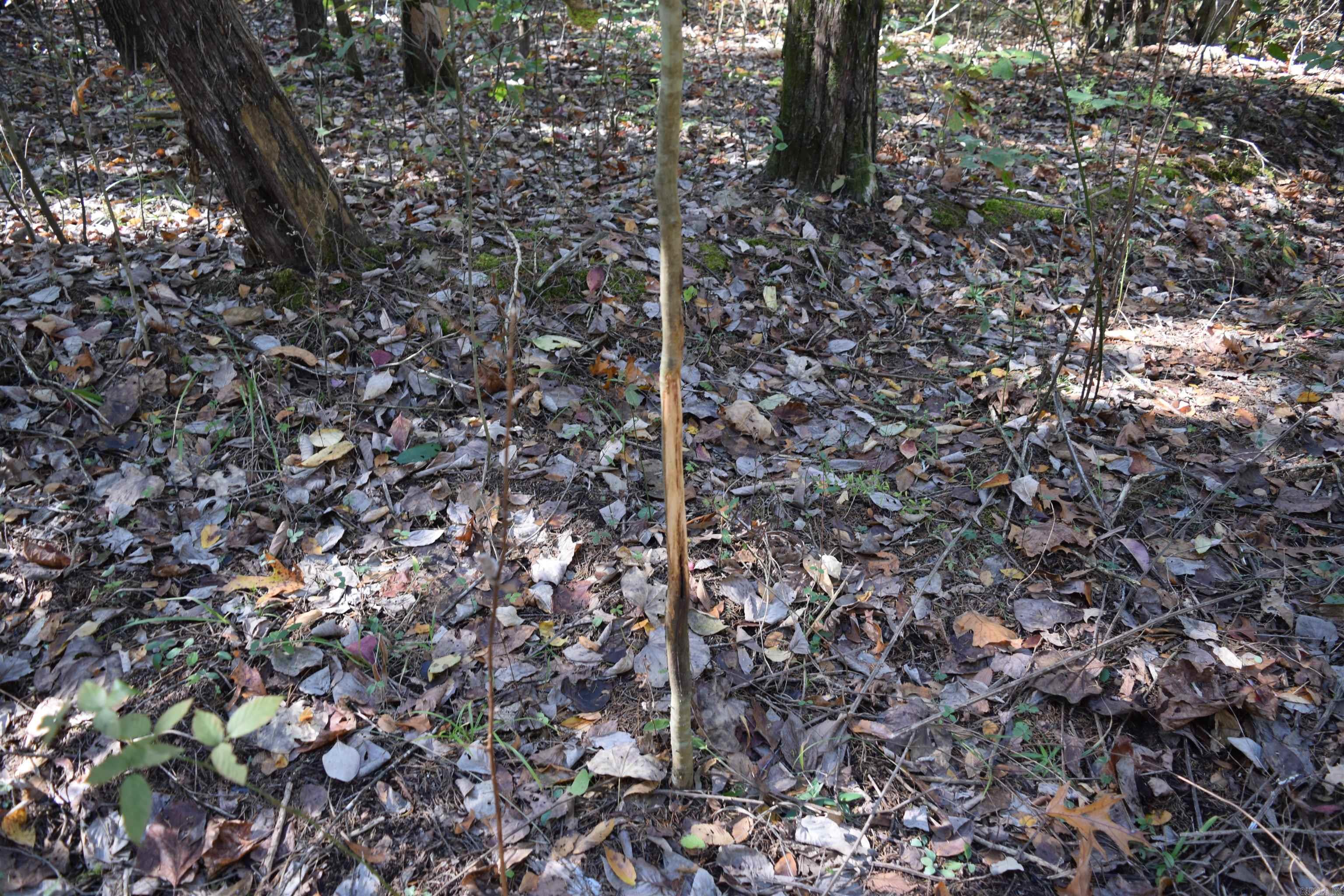 Not in Subdivision - Land