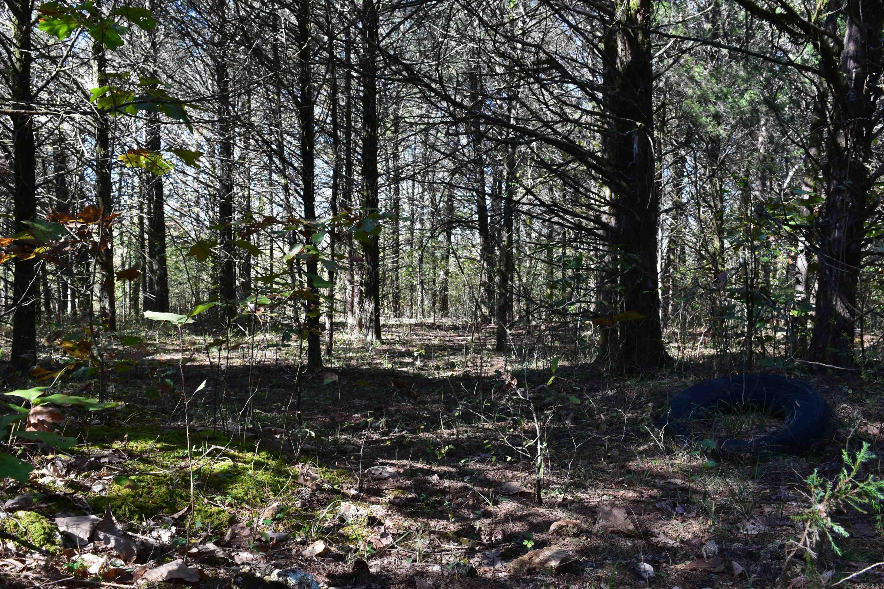 Not in Subdivision - Land