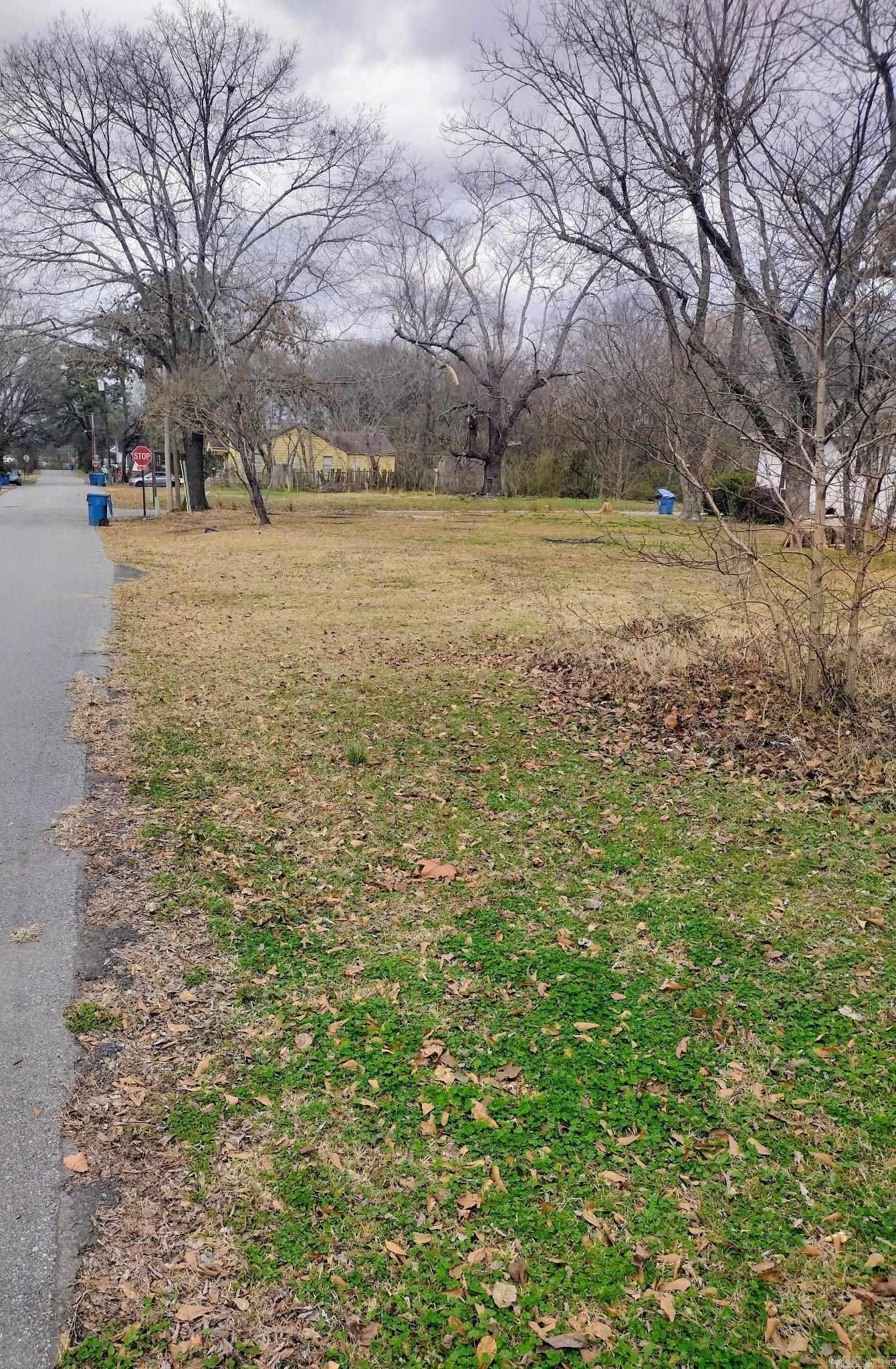 WT Carmichael - Land