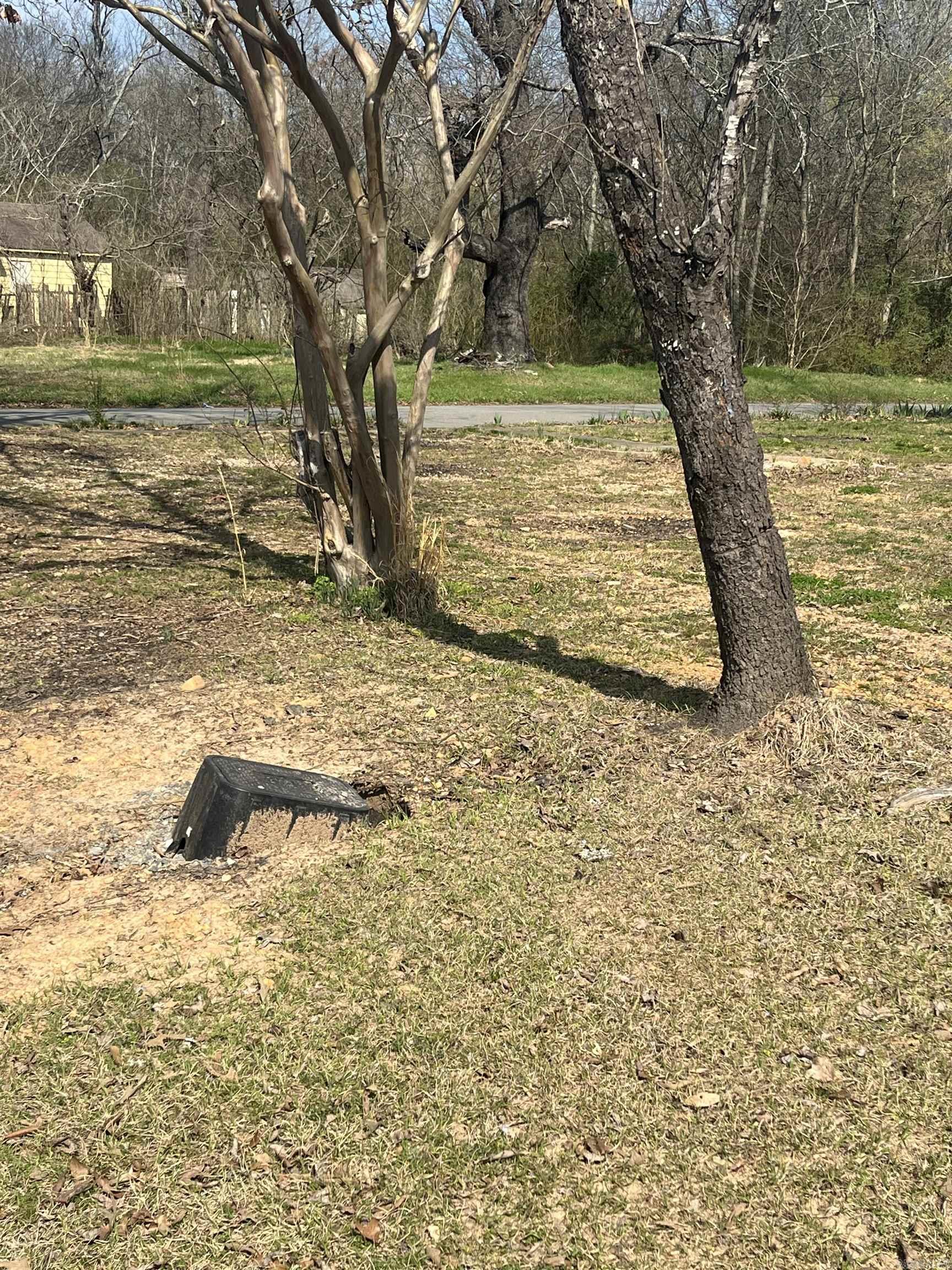 WT Carmichael - Land