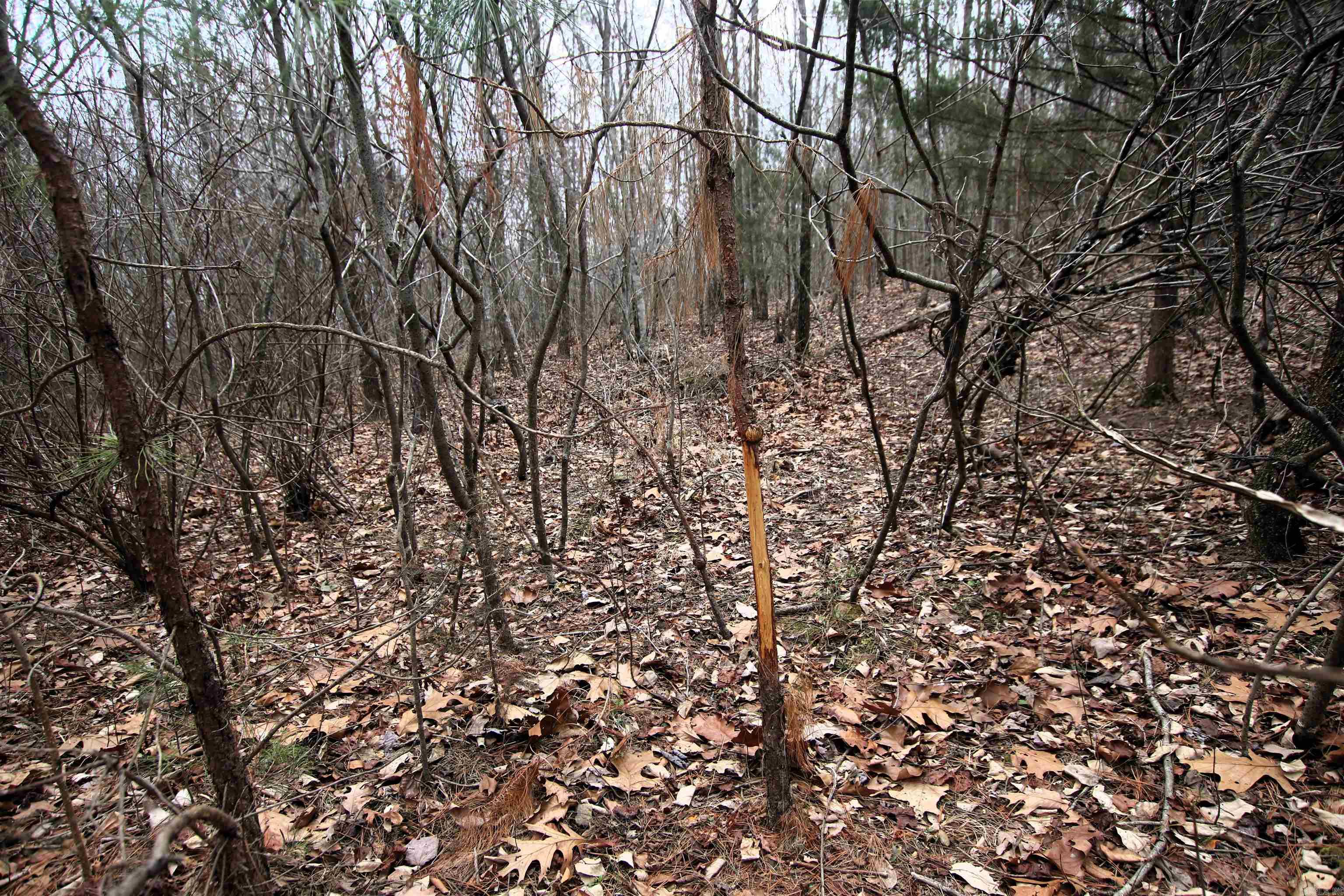 Not in Subdivision - Land