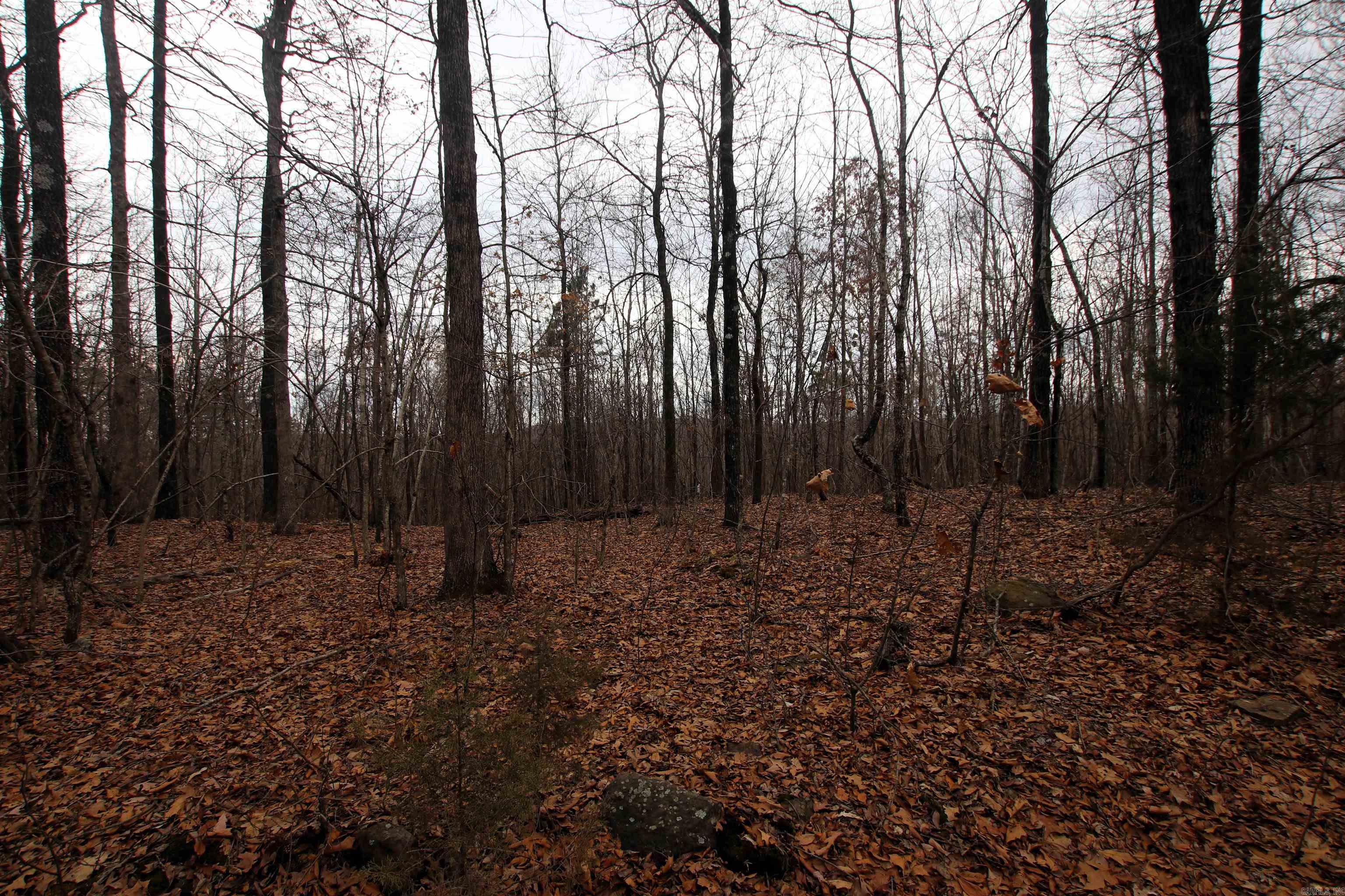 Not in Subdivision - Land