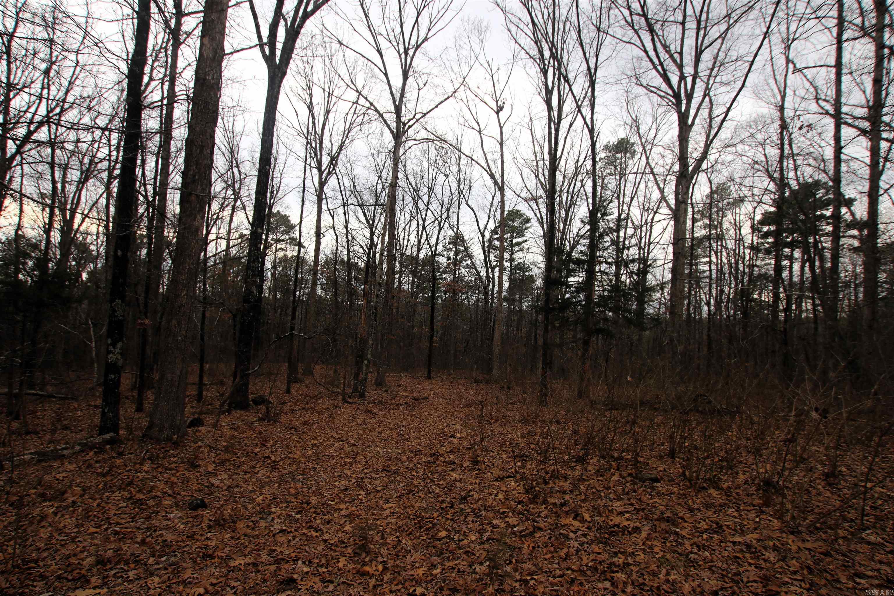 Not in Subdivision - Land