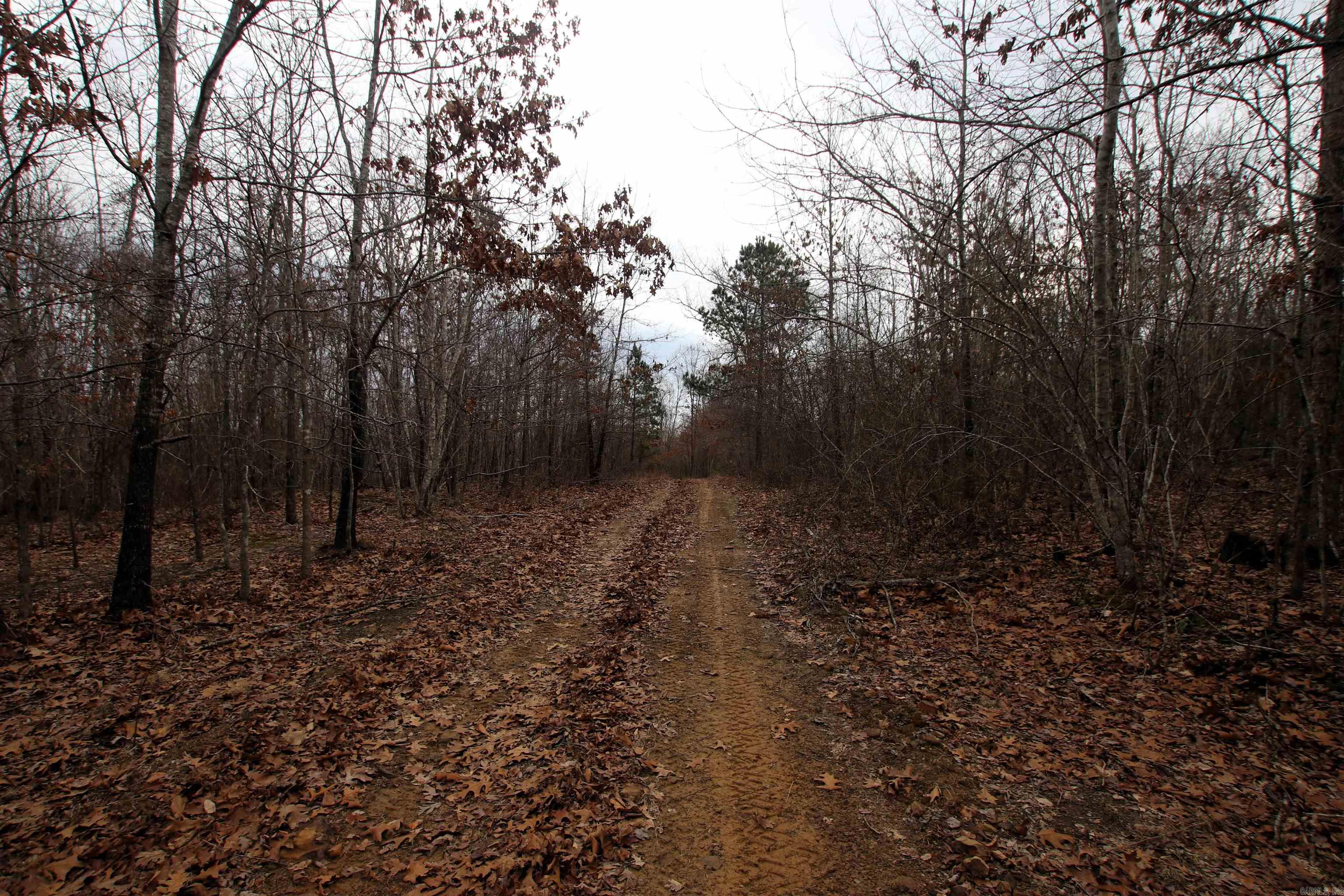 Not in Subdivision - Land