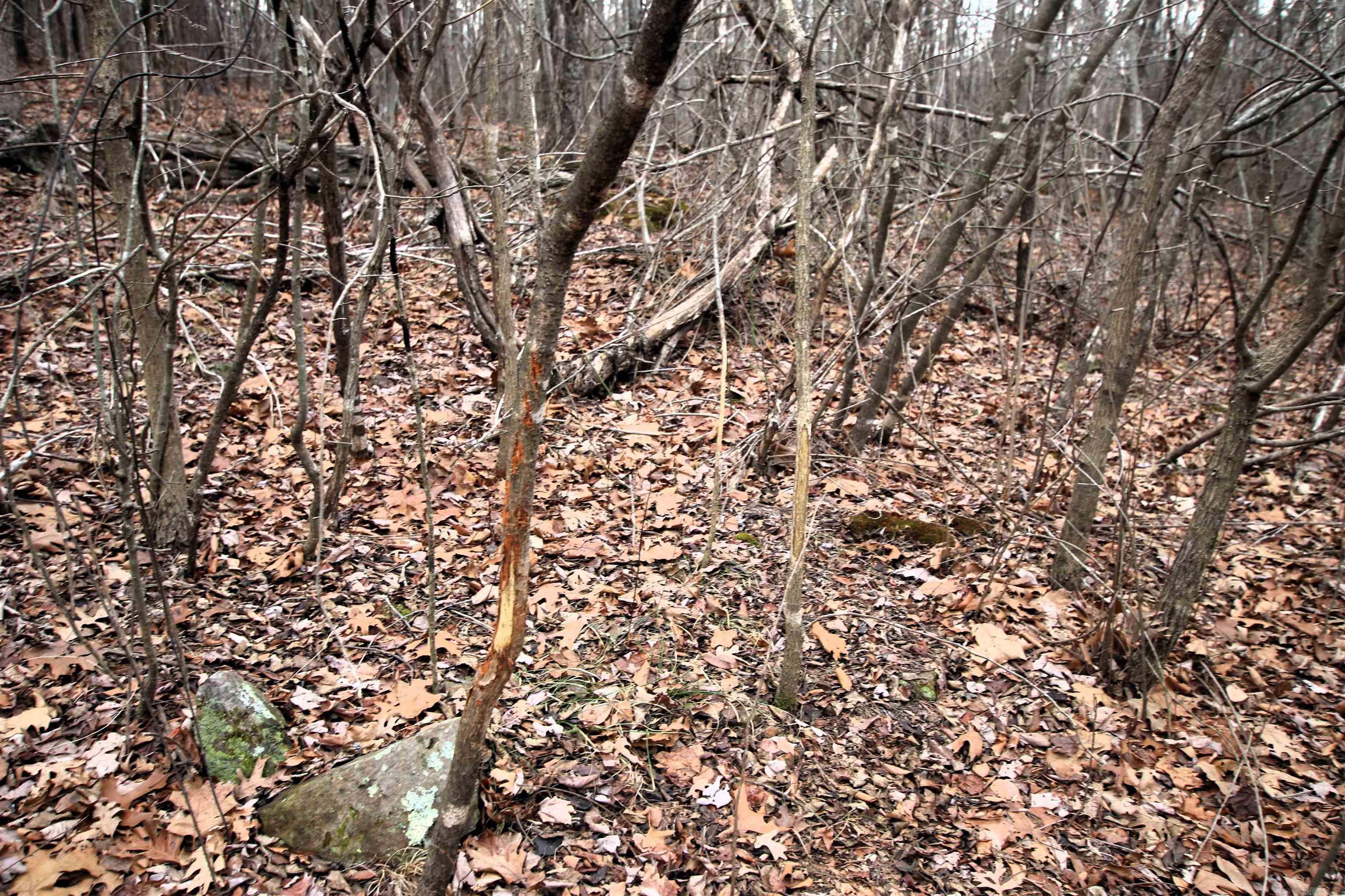 Not in Subdivision - Land